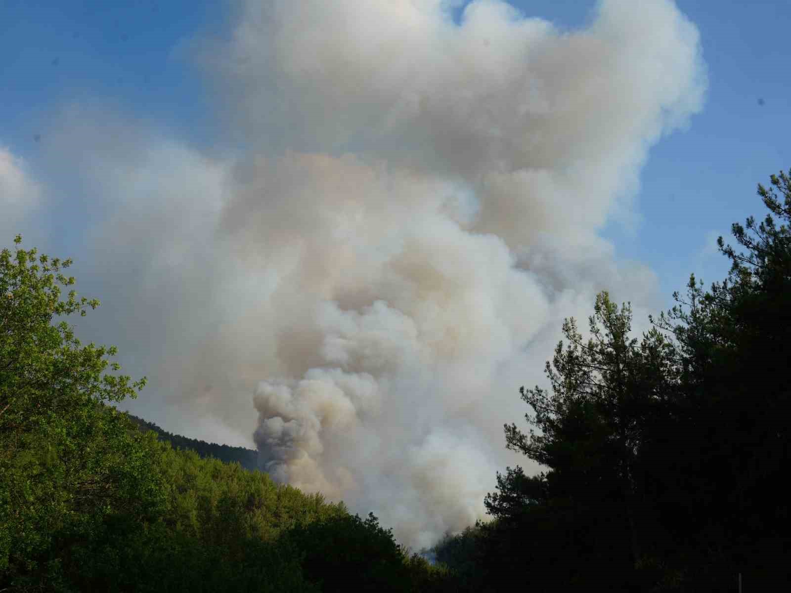 Kastamonu Valiliği’nden açıklama: Yangın sebebiyle tahliye edilen köy sayısı 6’ya çıktı