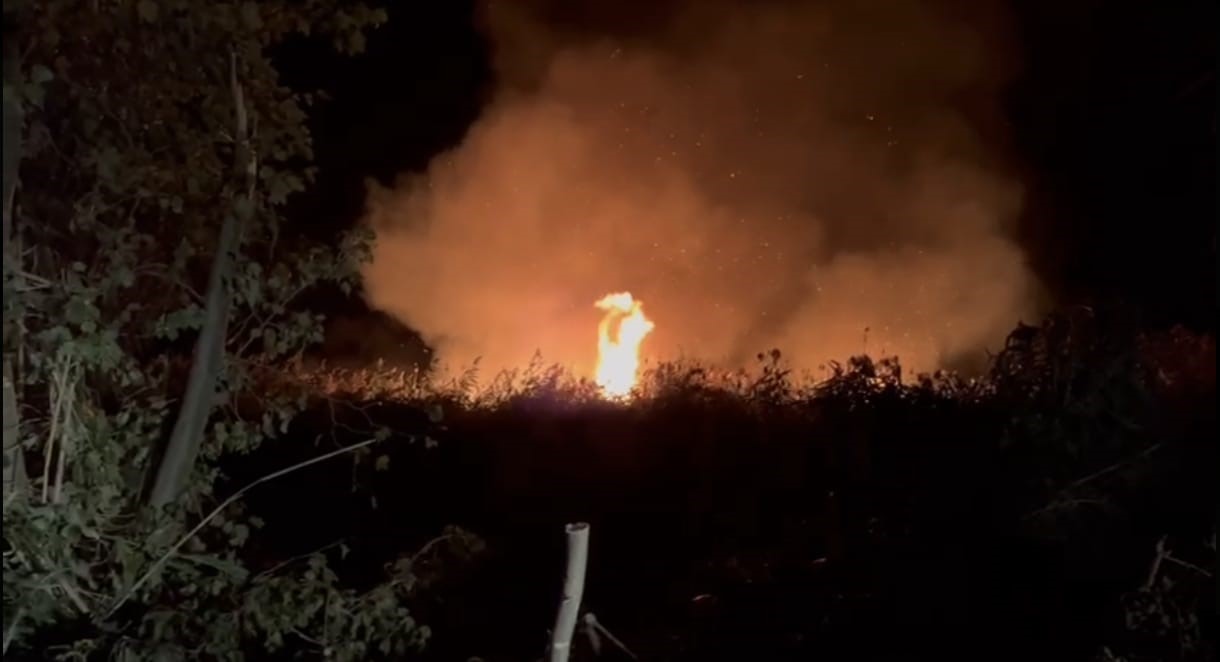 İznik’te korkutan yangın