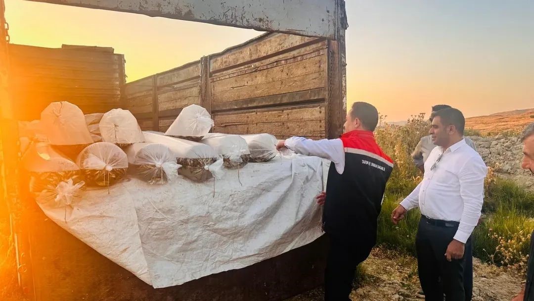 Bitlis’te Aygır ve Nazik göllerine 3 milyon 895 bin sazan balığı yavrusu bırakıldı