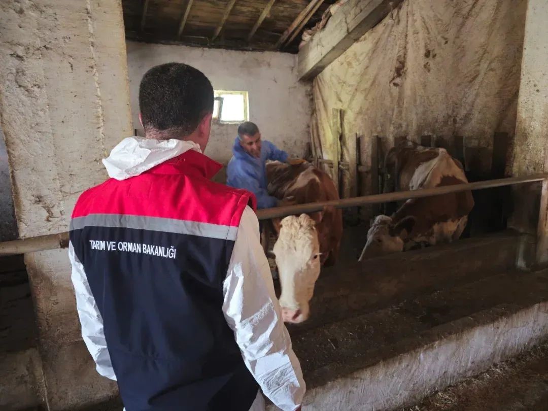 Bitlis’te aşılama çalışmaları devam ediyor