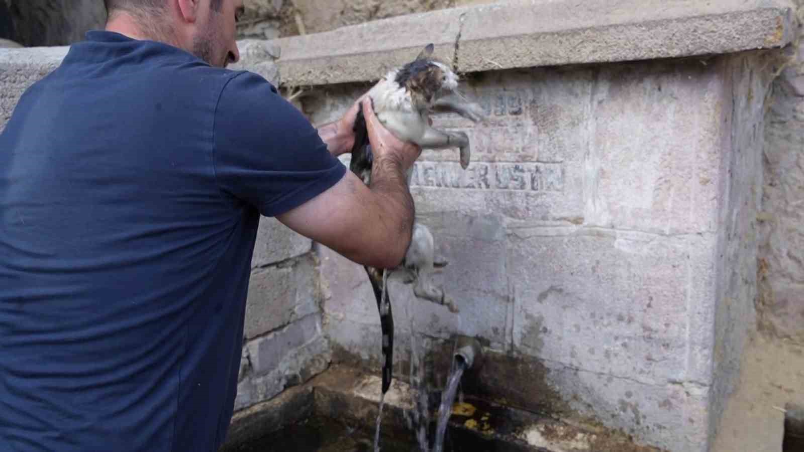 Alevlerin içinde kurtardığı kediye adeta can suyu verdi