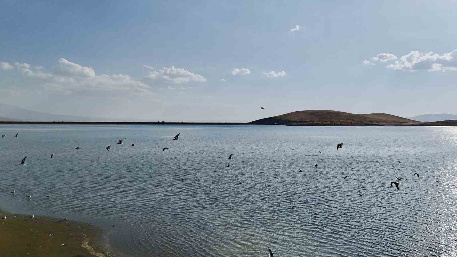 Patnos Barajı&rsquo;nda  su seviyesi alarm veriyor
