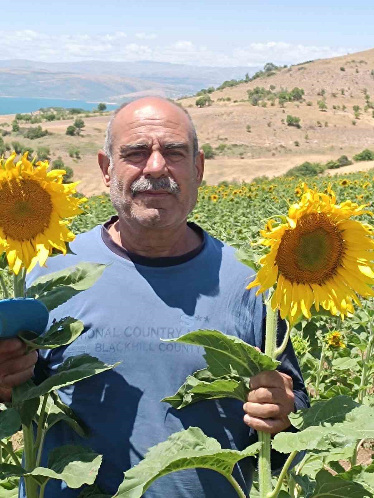 &Ccedil;emişgezekli &ccedil;ift&ccedil;i, il&ccedil;ede ilk kez yağlık ay&ccedil;i&ccedil;eği &uuml;retimi yaptı
