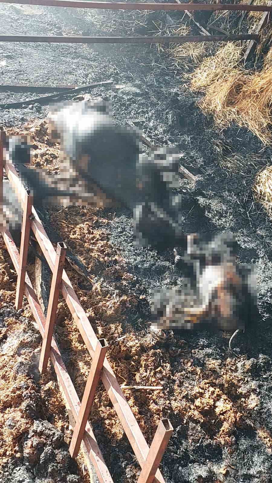 Burdur’da çıkan yangında 2 bin 500 saman balyası kül oldu