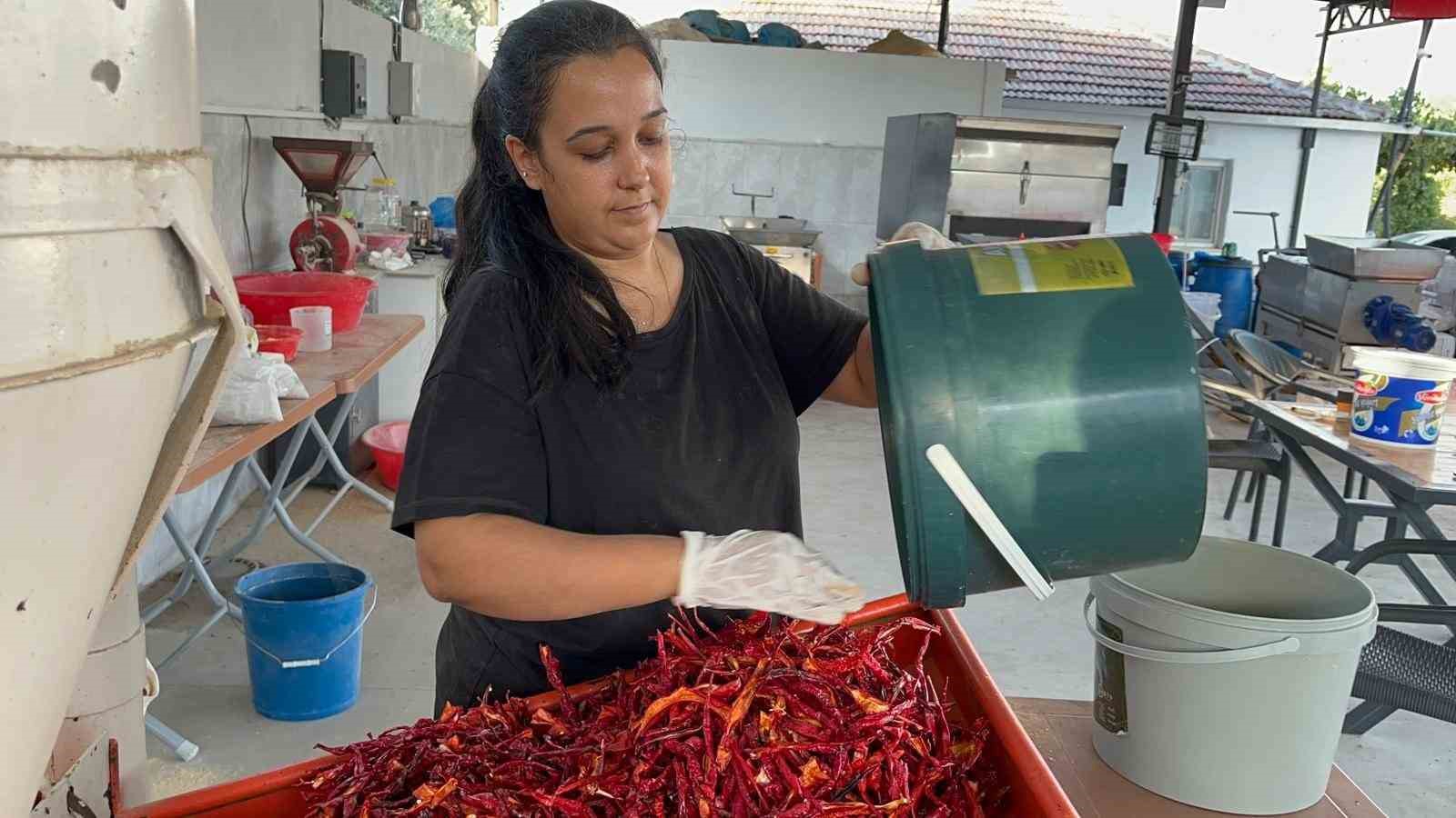&Uuml;niversite mezunu gen&ccedil; kadın, k&ouml;y&uuml;nde &uuml;retim merkezi kurdu
