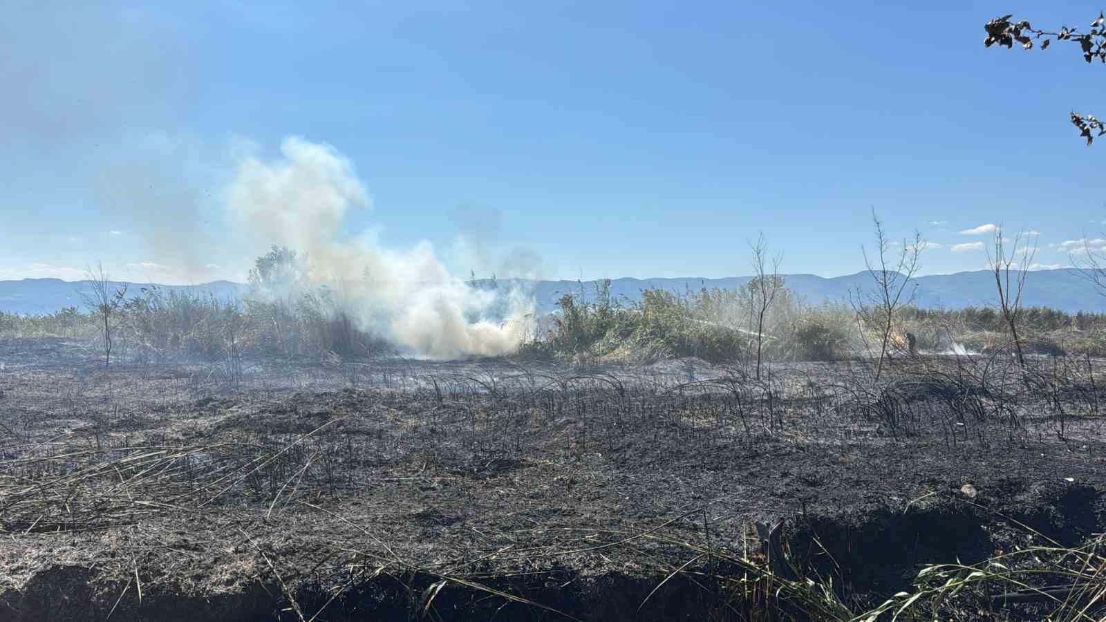 İznik Boyalıca&rsquo;da sazlık alanda yangın: 100 d&ouml;n&uuml;m alan k&uuml;le d&ouml;nd&uuml;
