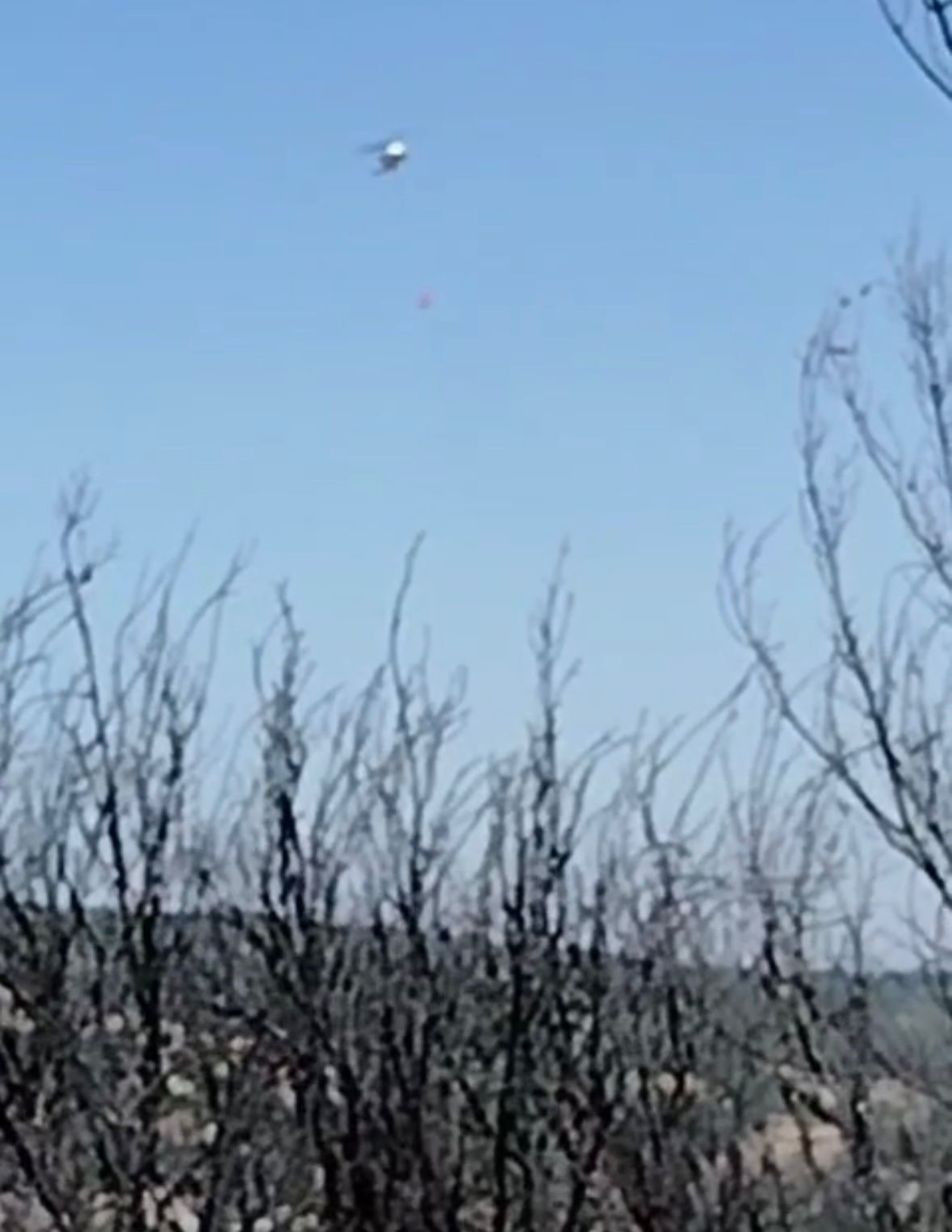 Buldan dağlarının yeşil örtüsü siyaha büründü