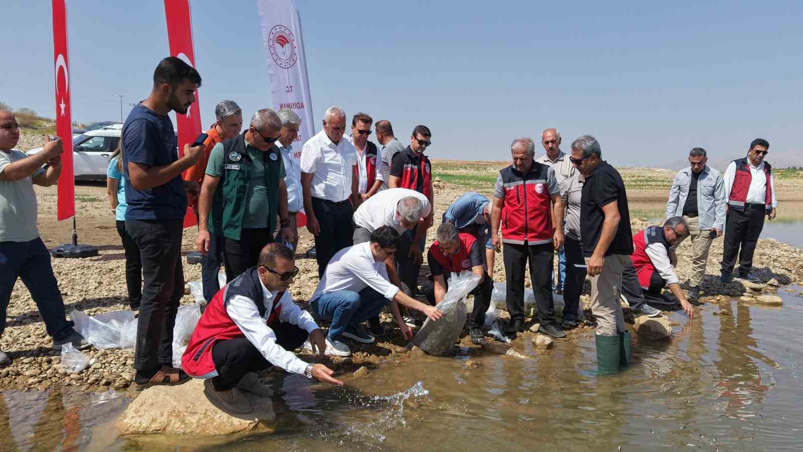 Adıyaman’da 1 milyonun üzerinde yavru sazan doğaya bırakıldı
