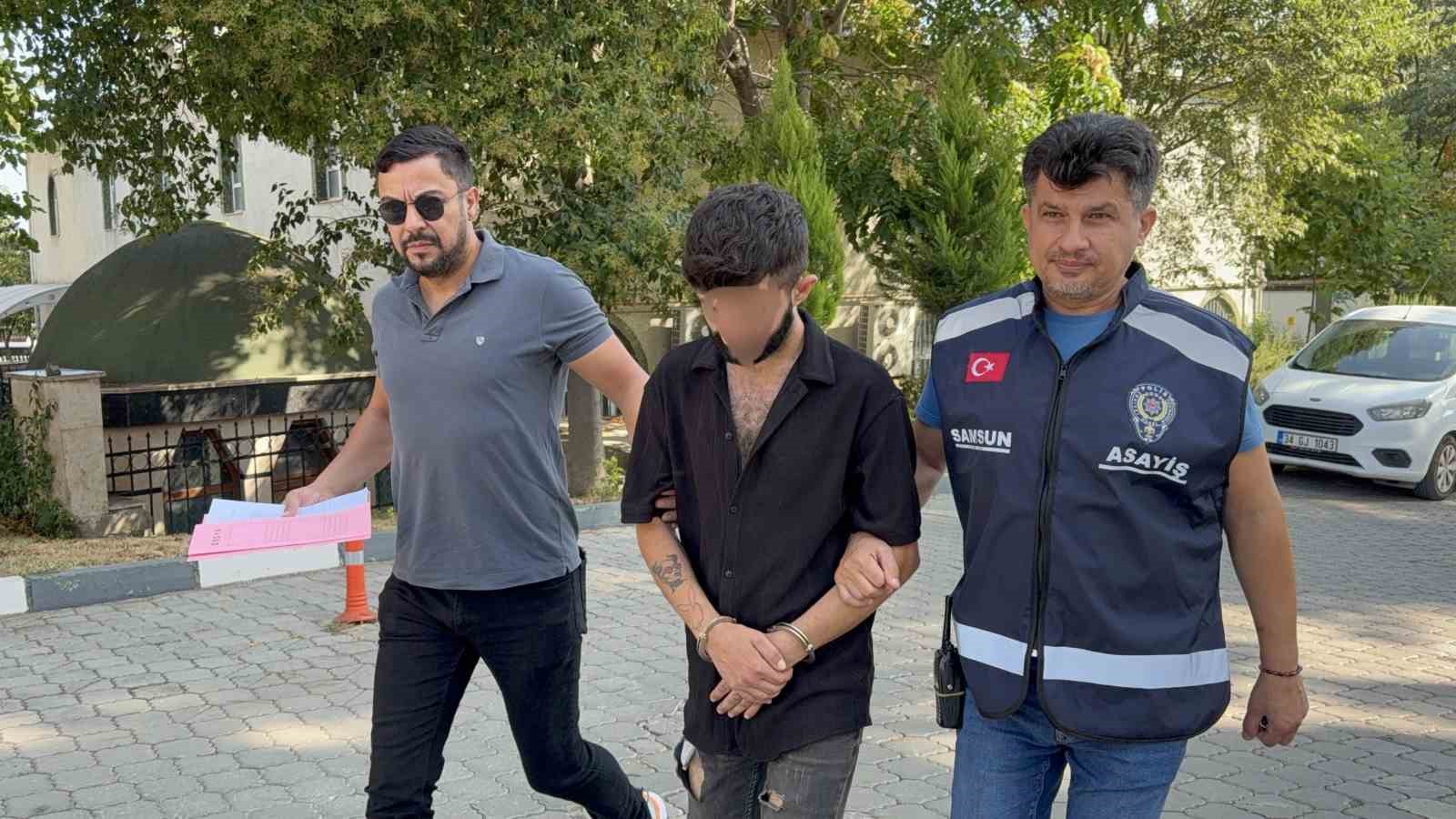 Geceleyin kamyonun kornasını &ccedil;alan şahıs tutuklandı
