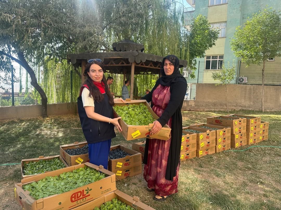 Şırnak’ta TAKE Projesi kapsamında üreticilere fide ve tohum desteği