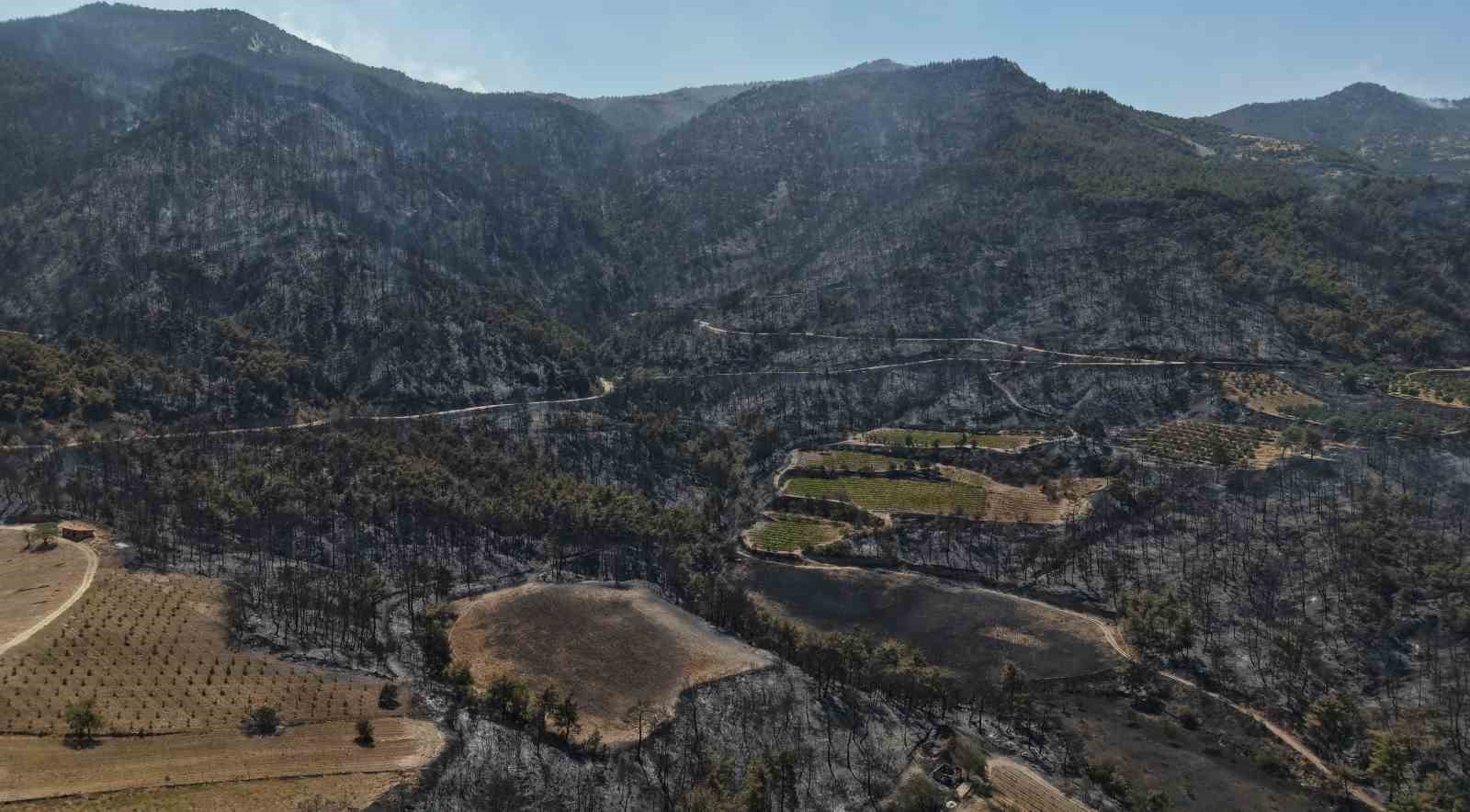 Vali Coşkun; "Yangın kontrol altına alındı, soğutma &ccedil;alışmaları devam ediyor"
