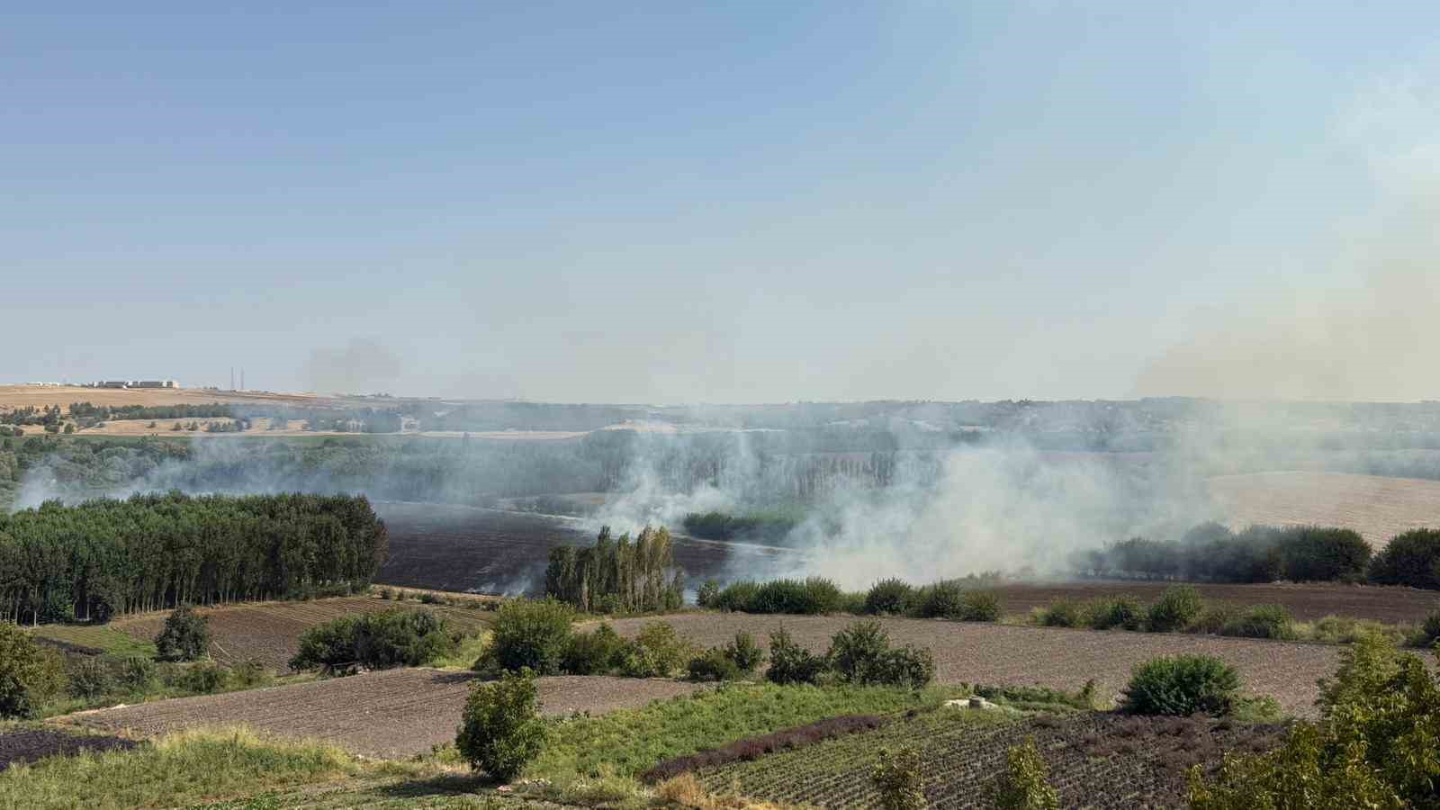 Diyarbakır&rsquo;da Hevsel Bah&ccedil;elerindeki mısır tarlasında anız yangını
