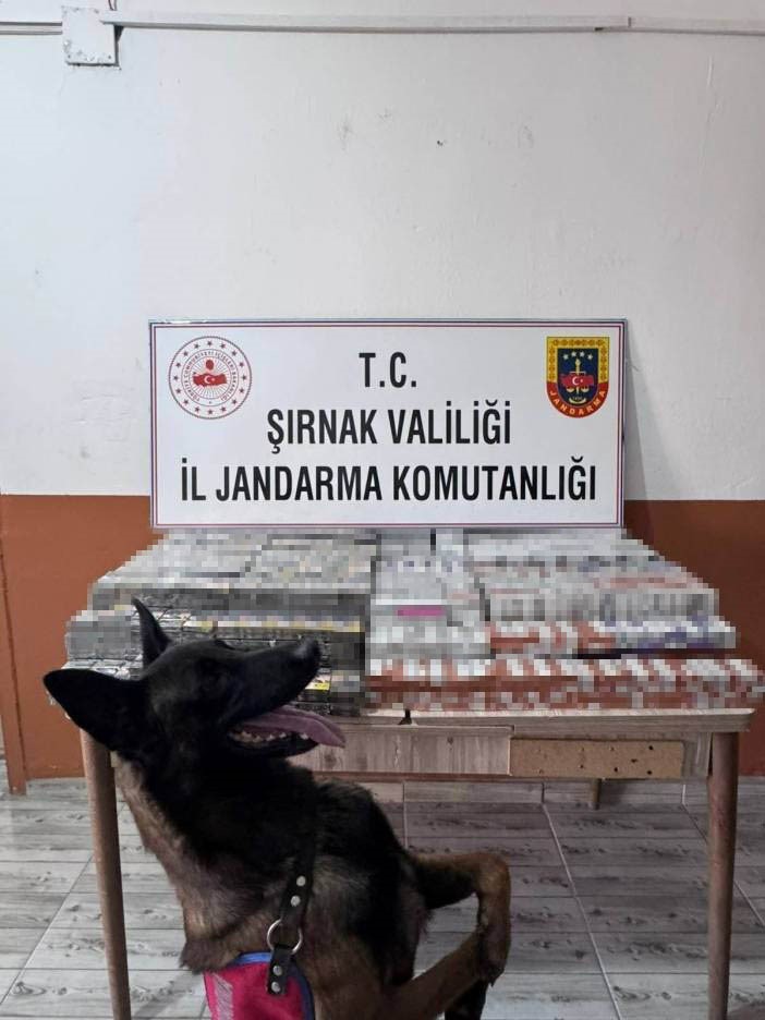 Şırnak&rsquo;ta Jandarma&rsquo;dan 22 milyon 861 bin liralık ka&ccedil;ak&ccedil;ılık operasyonu: 2 tutuklama
