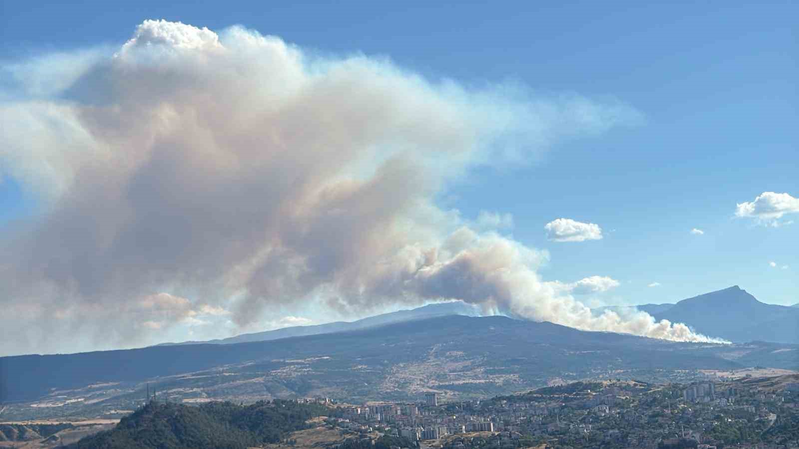 Karabük’te yangınlar art arda çıkıyor