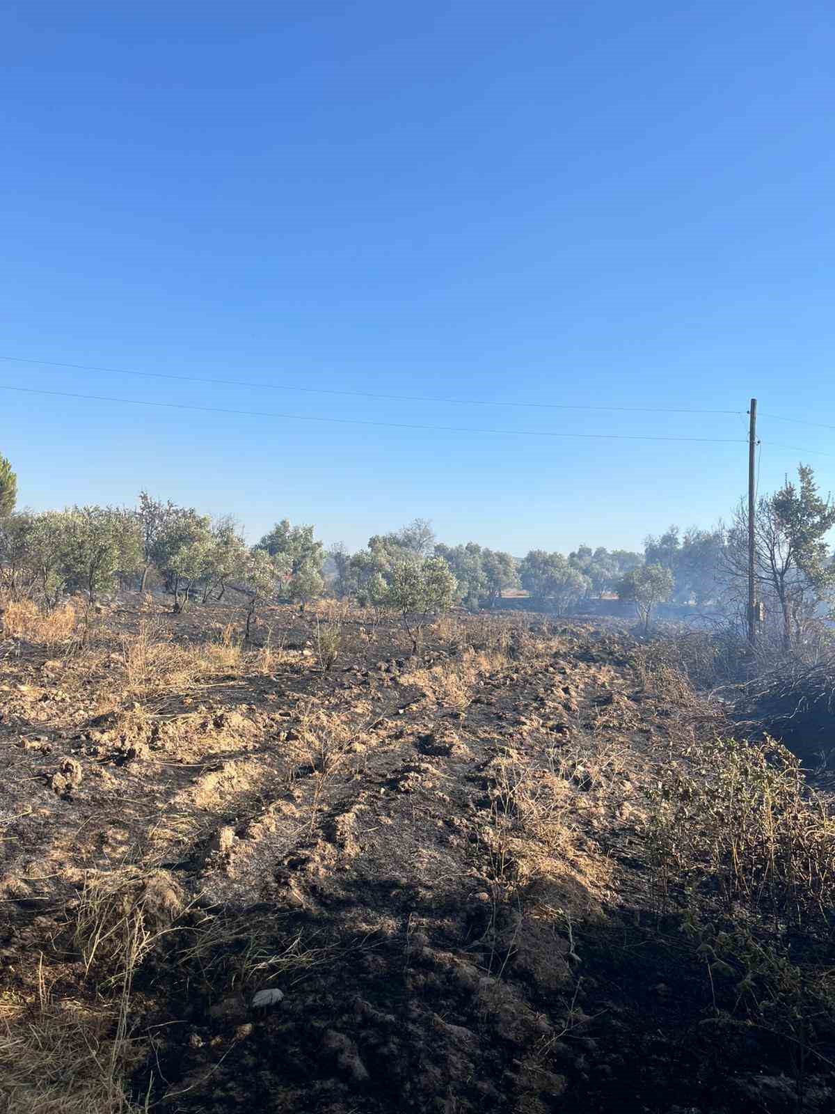 Yatağan&rsquo;da tarlada &ccedil;ıkan yangın ekipler tarafından s&ouml;nd&uuml;r&uuml;ld&uuml;
