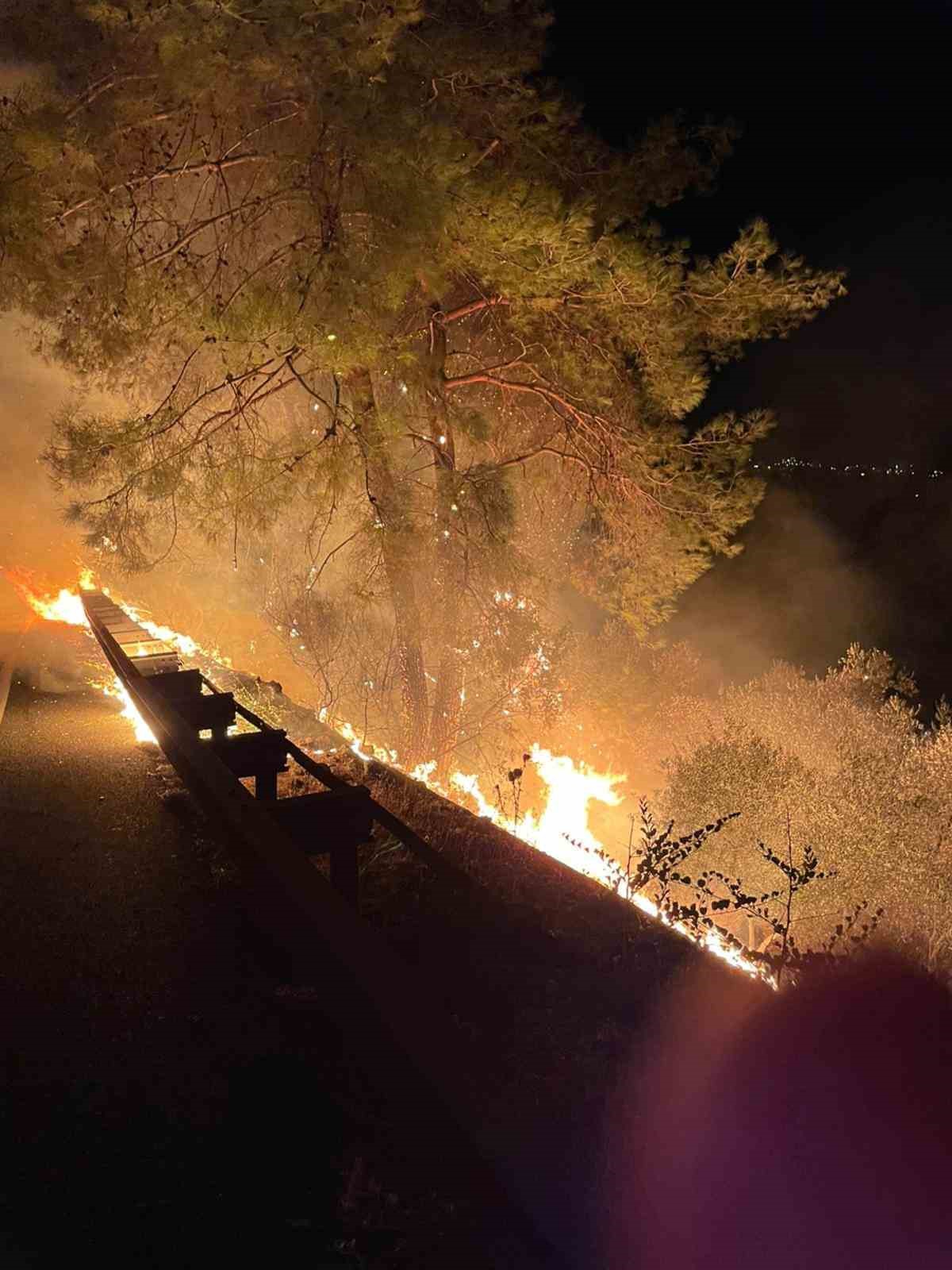 Sakar rampasında orman yangını

