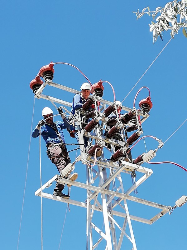 Fırat EDAŞ, kesintisiz enerji arzını ve leylekleri güvence altına alıyor