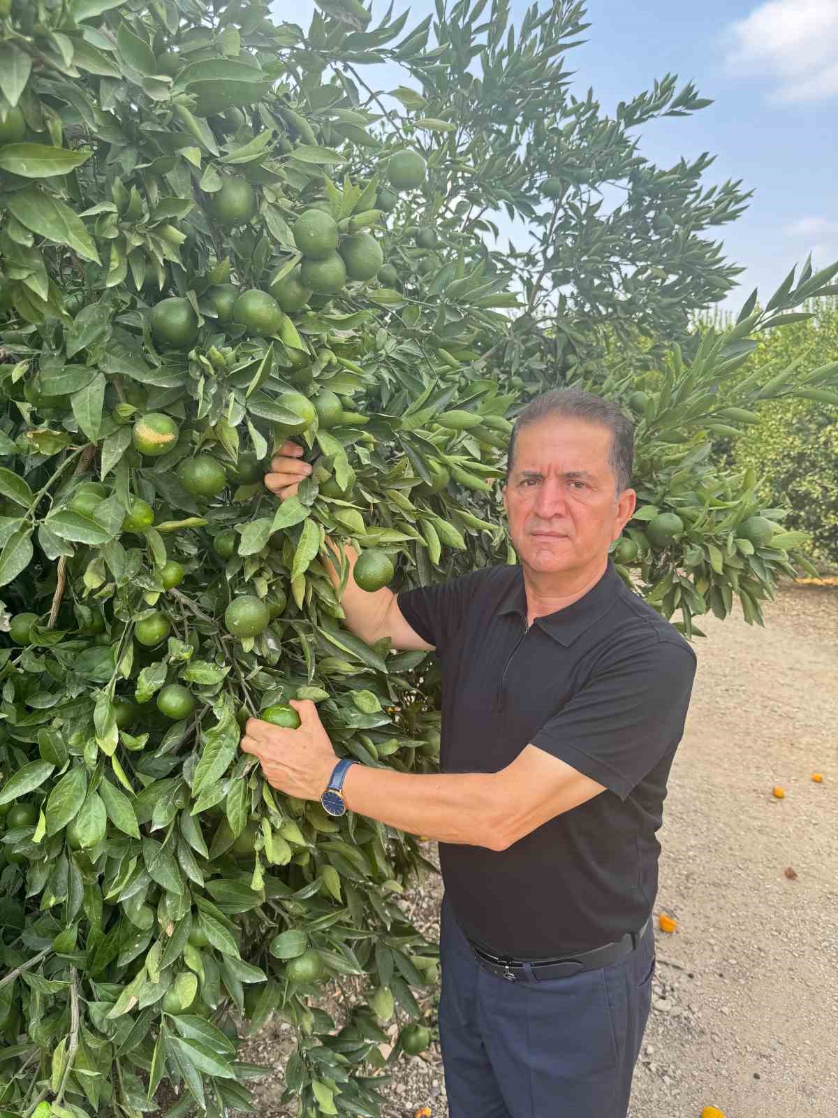 Doğan "Turun&ccedil;gil kesim ve ihra&ccedil; tarihlerinde sahadaki ger&ccedil;ek &uuml;retim şartları dikkate alınmalıdır&rsquo;&rsquo;
