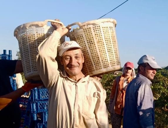 Gençlere taş çıkartıyor