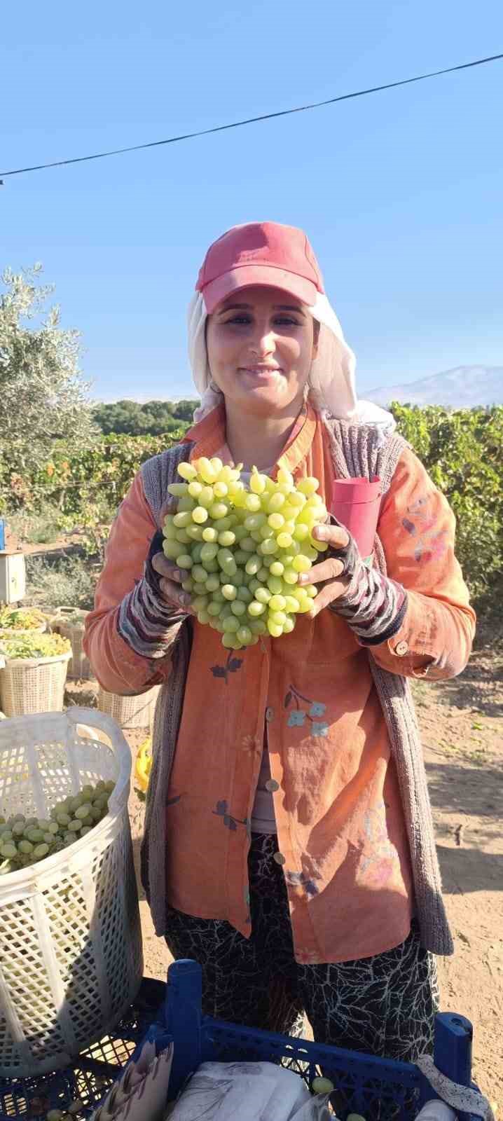 Sarıg&ouml;l&rsquo;de hayat &uuml;z&uuml;mle d&ouml;n&uuml;yor
