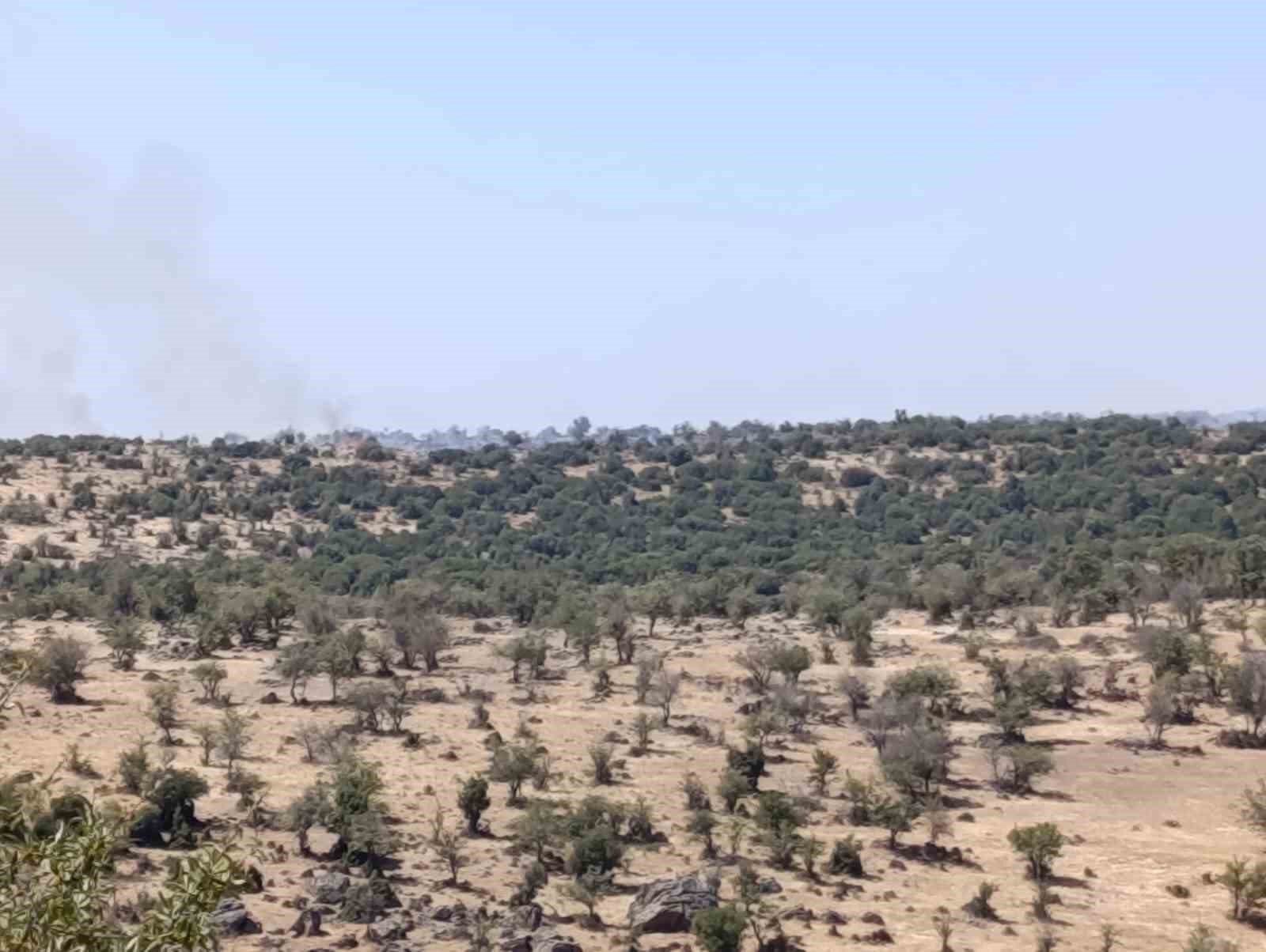 Selendi’de makilik alanda çıkan yangın söndürüldü