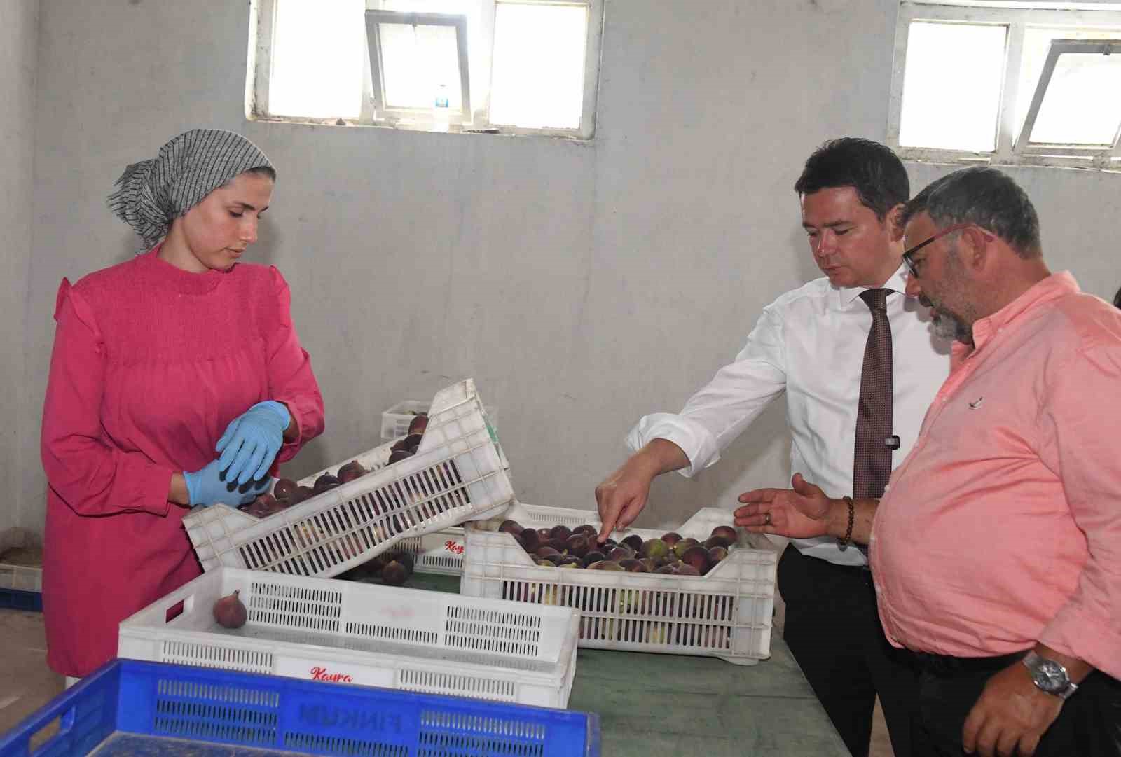 Osmangazi&rsquo;den d&uuml;nyaya a&ccedil;ılan lezzet "Bursa siyah inciri"
