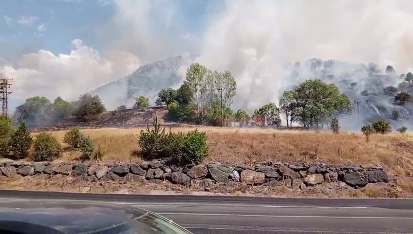 Sivas’ta makilik alandaki yangına müdahale ediliyor