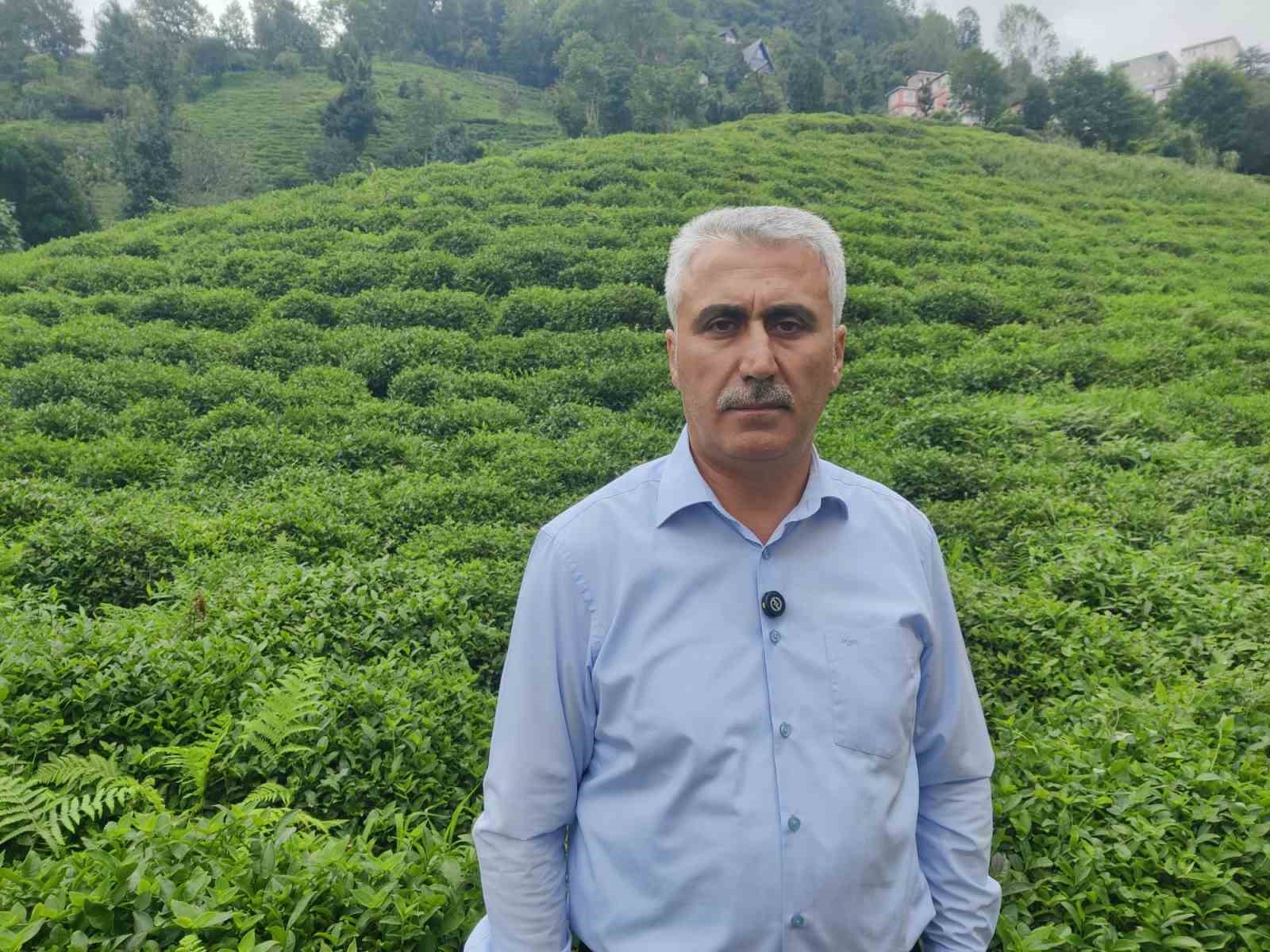 ÇAYÜDAD Başkanı Mustafa Mavi: "Bazı özel fabrikaların 3. sürgünde çay almayacağı söyleniyor"