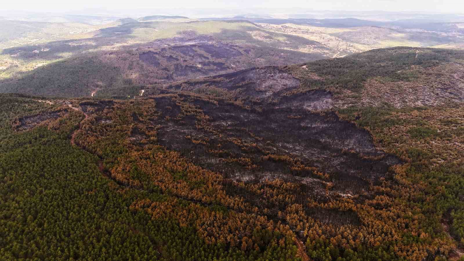 Yangının etkili olduğu alanlar dron ile görüntülendi