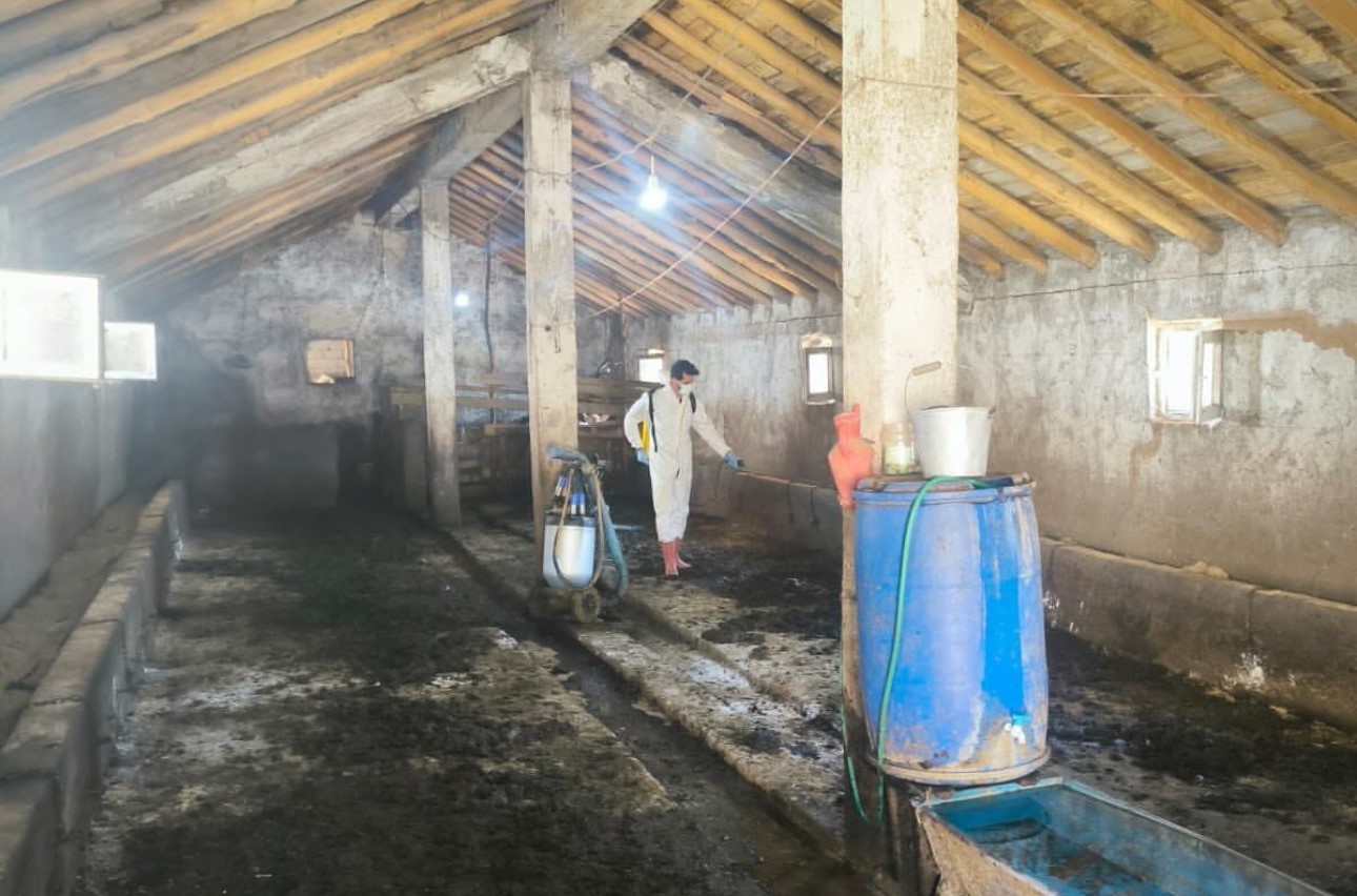 Y&uuml;ksekova&rsquo;da hayvan aşılama ve dezenfeksiyon &ccedil;alışmaları devam ediyor
