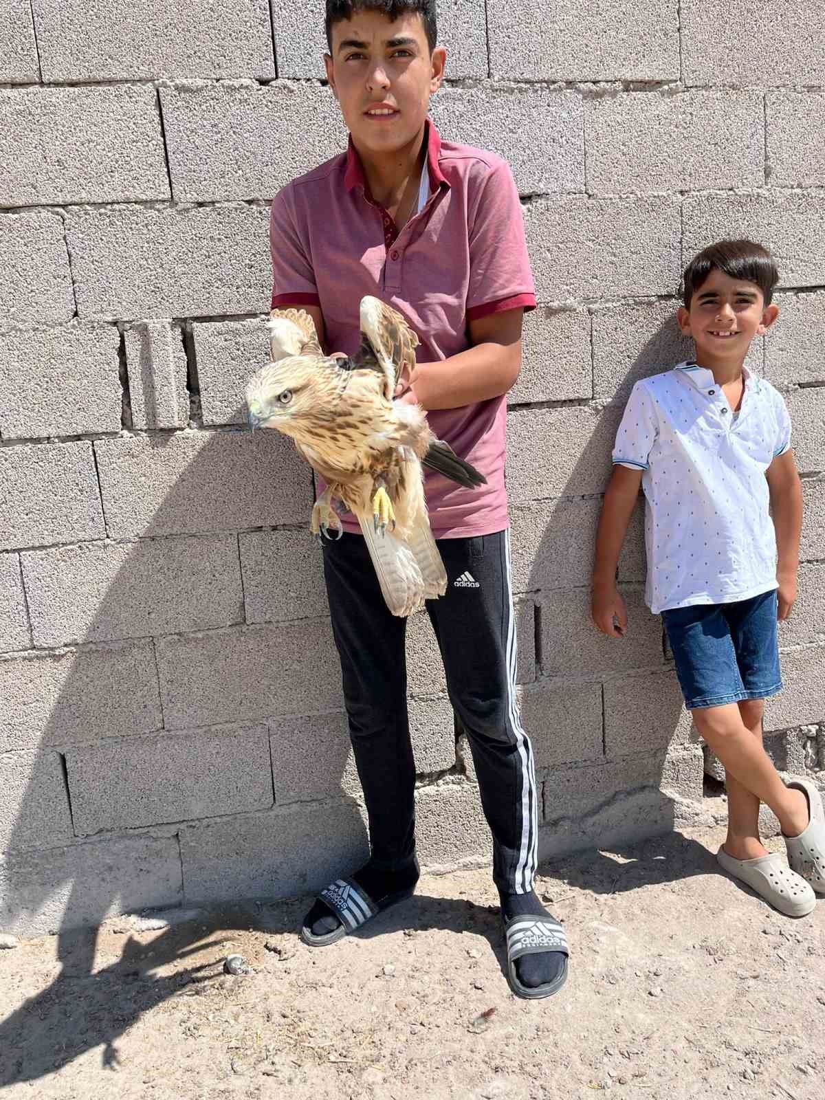 Karapınar&rsquo;da yaralı kızıl şahin bulundu
