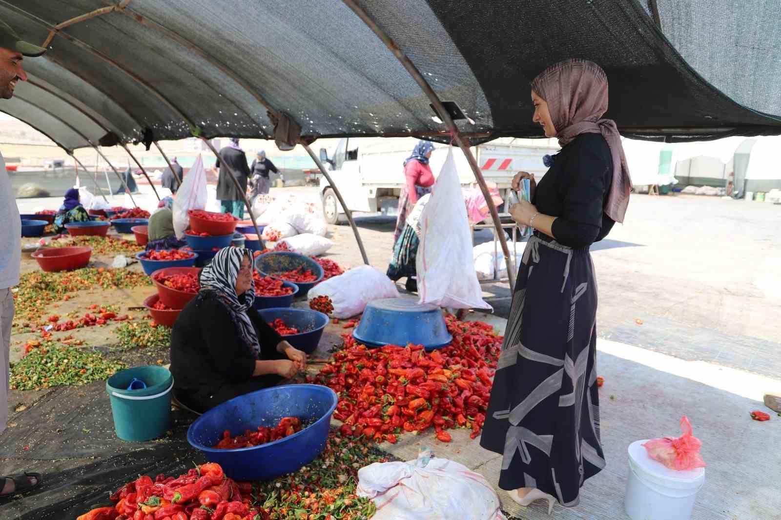 Şanlıurfa’da mevsimlik tarım işçilerine mobil sağlık hizmeti