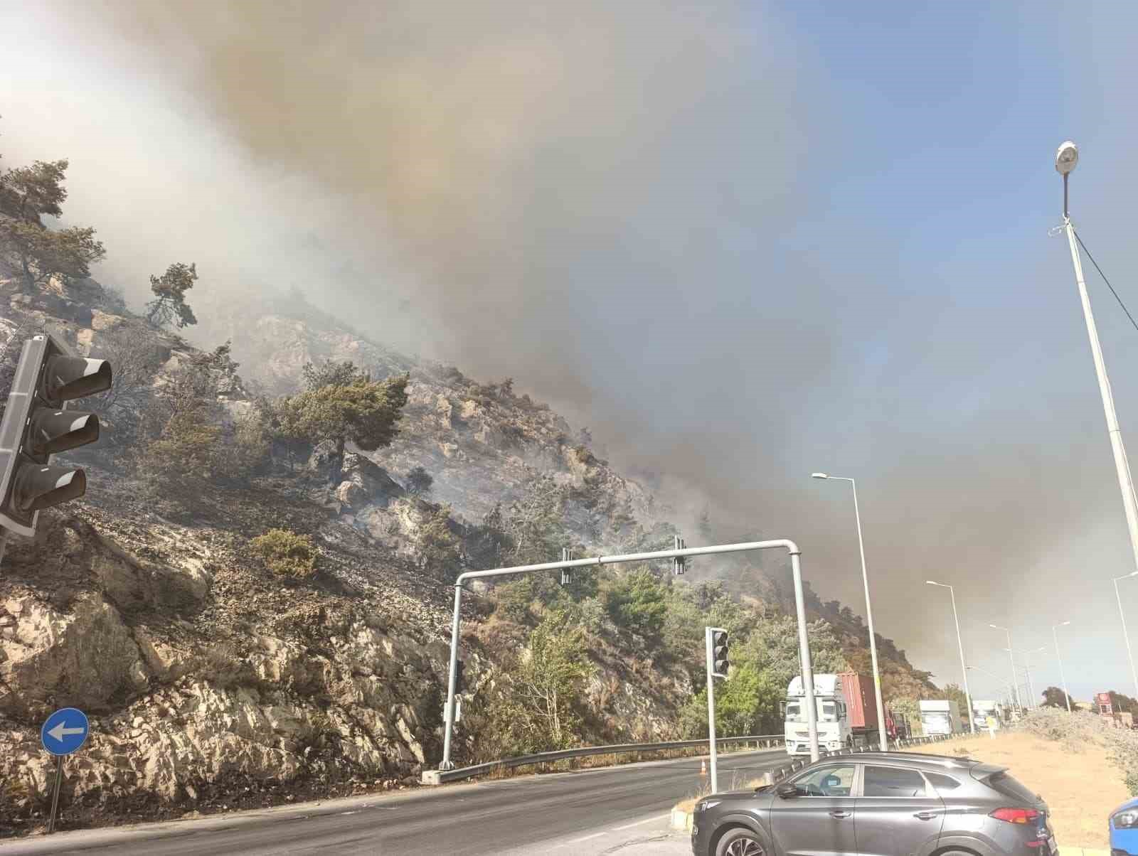 Söke’de makilik alan yangını, söndürme çalışmaları sürüyor