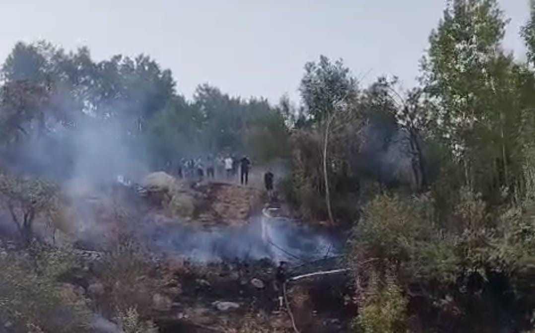 Hakkari’de ormanlık alanda yangın