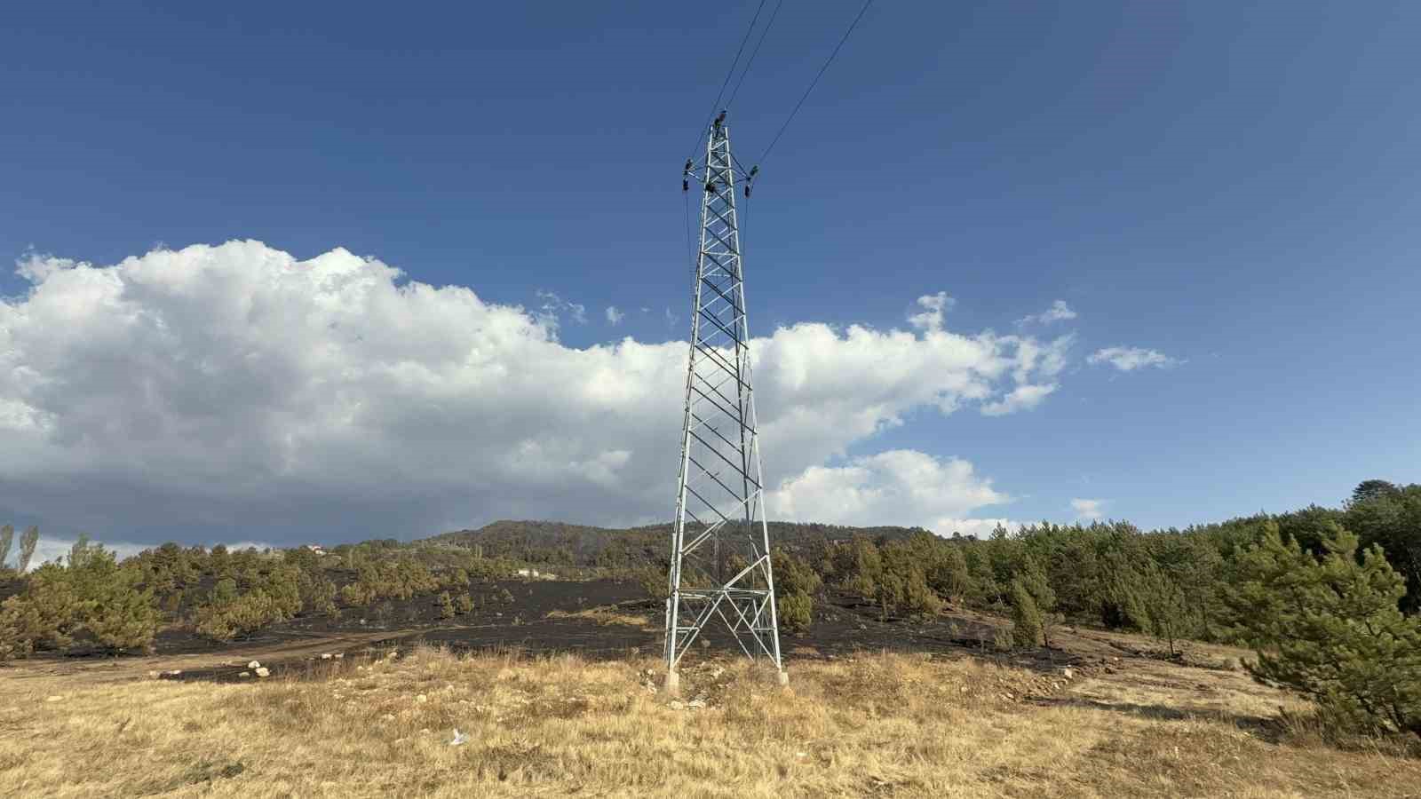 Karab&uuml;k&rsquo;teki orman yangınında &lsquo;karga&rsquo; ş&uuml;phesi
