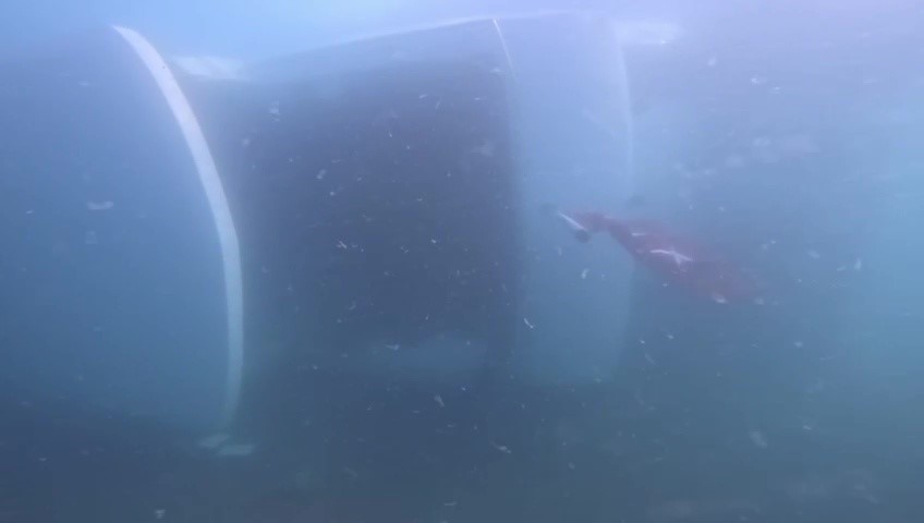 Zonguldak’ta denizde batan 40 milyon liralık yatın su altı görüntüleri ortaya çıktı