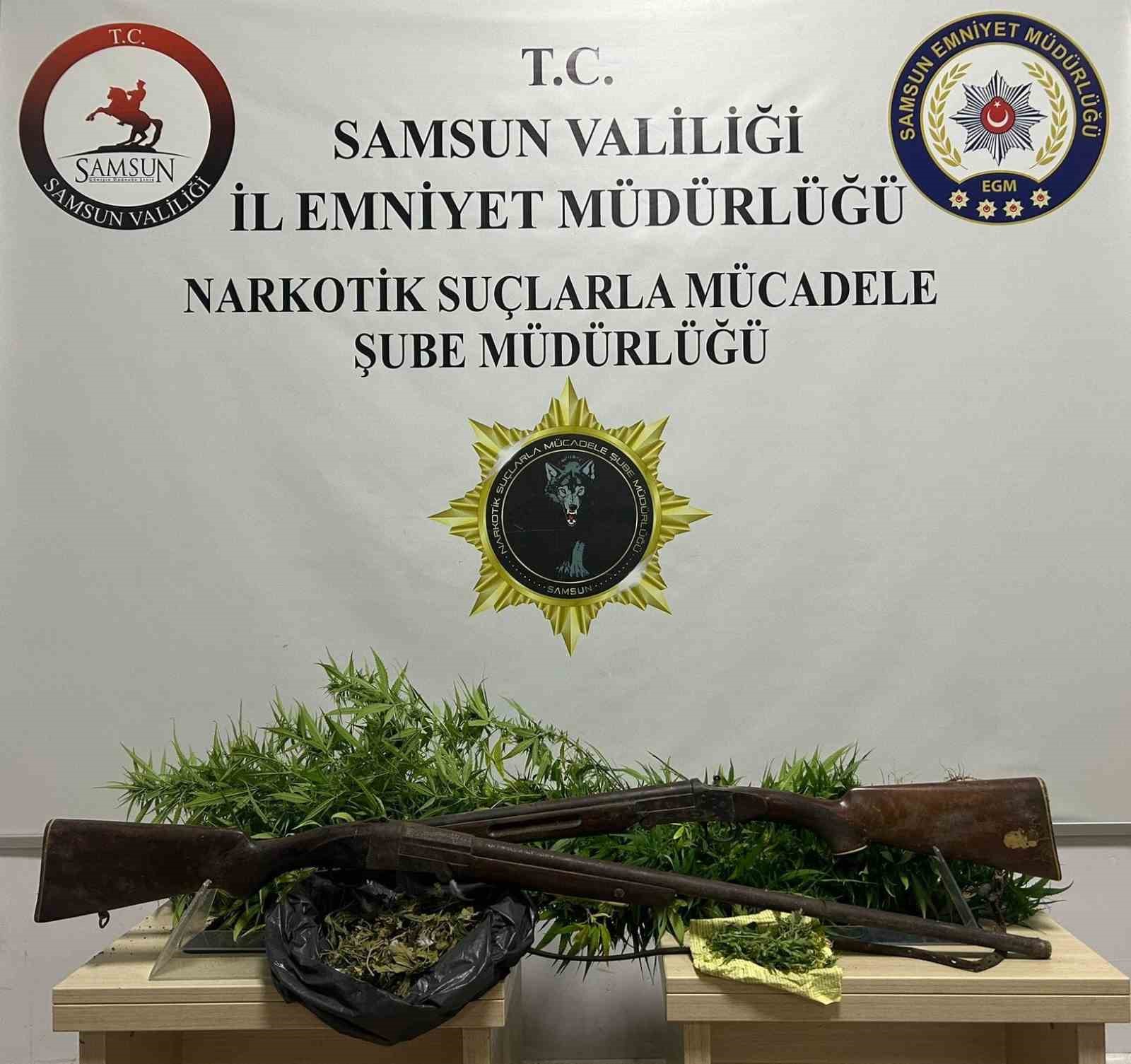 Bafra’da 33 kök Hint keneviri ele geçirildi