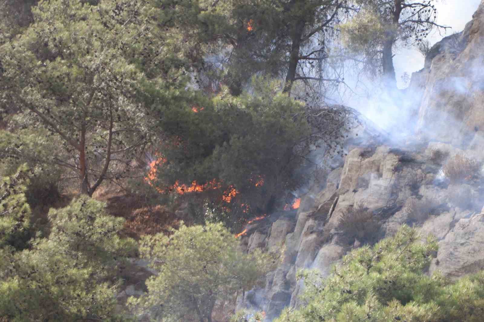 Söke’deki yangın kontrol altına alındı