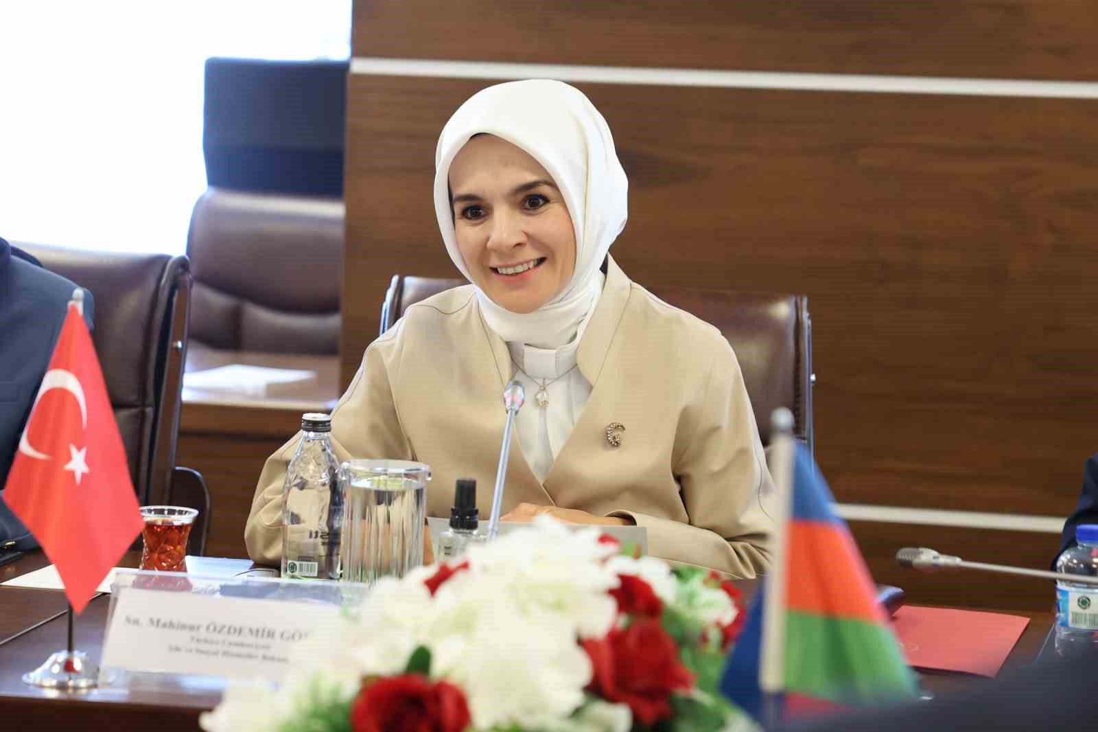 Bakan G&ouml;ktaş, Azerbaycan &Ccedil;alışma ve Halkın Sosyal Koruması Bakanı Aliyev ile bir araya geldi

