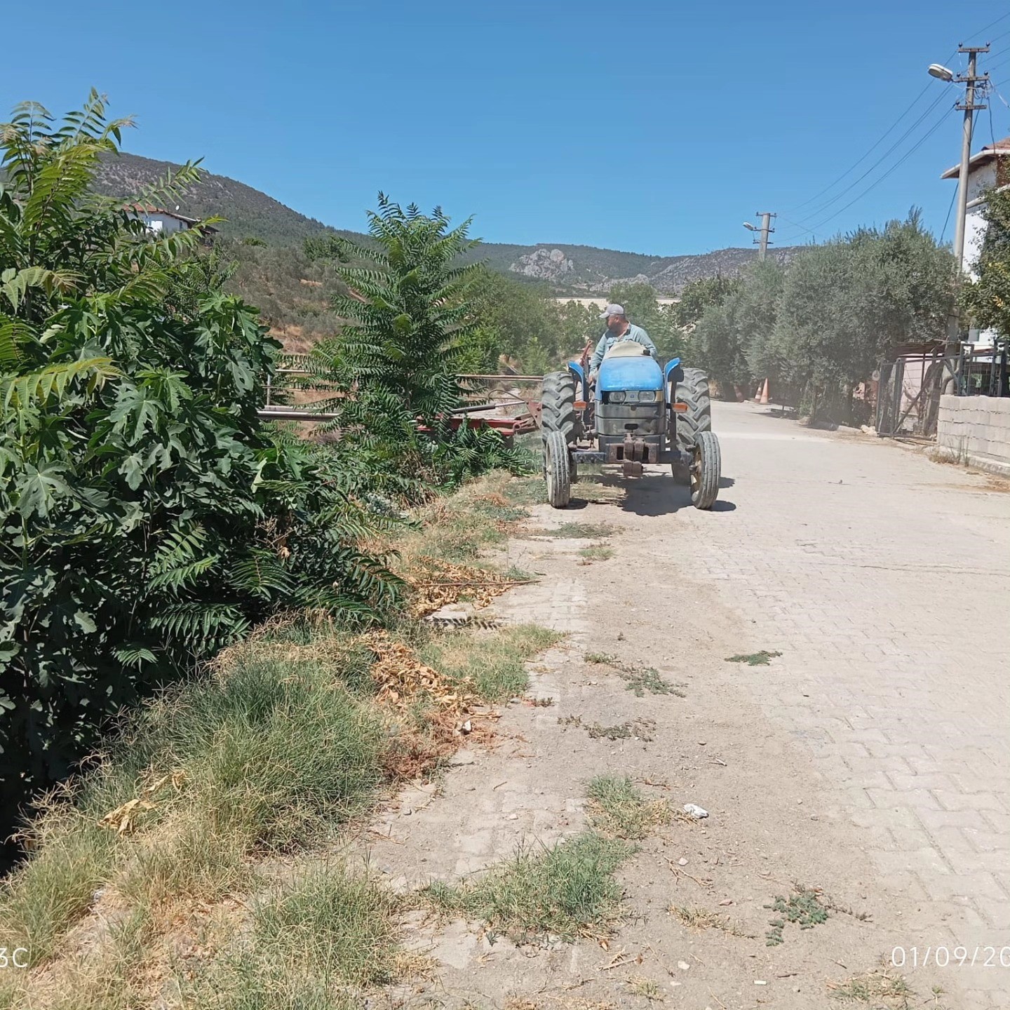 Bayırk&ouml;y&rsquo;de yabani otlar temizlendi
