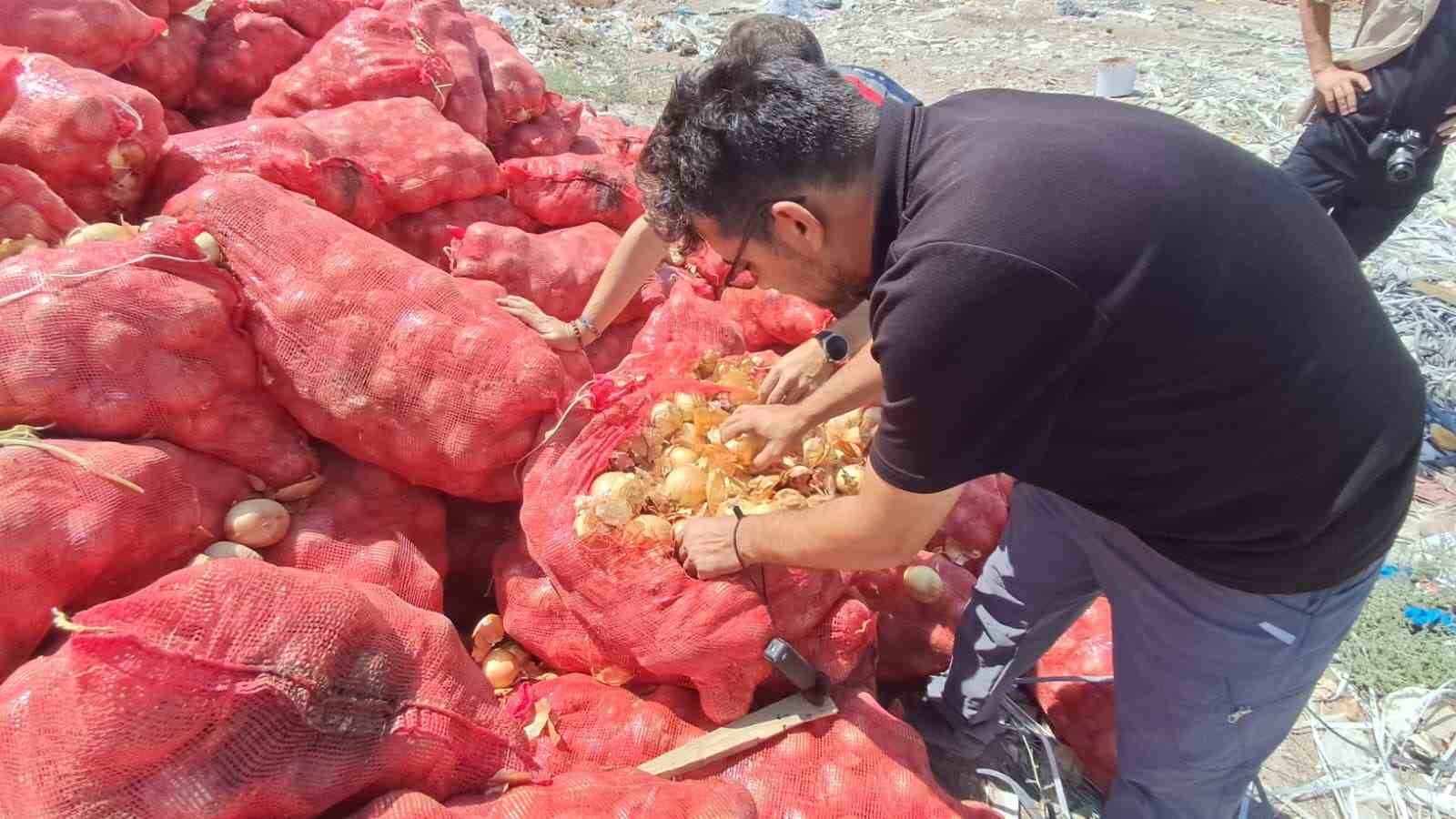Karaman&rsquo;da tonlarca soğan, boş araziye atılmış halde bulundu
