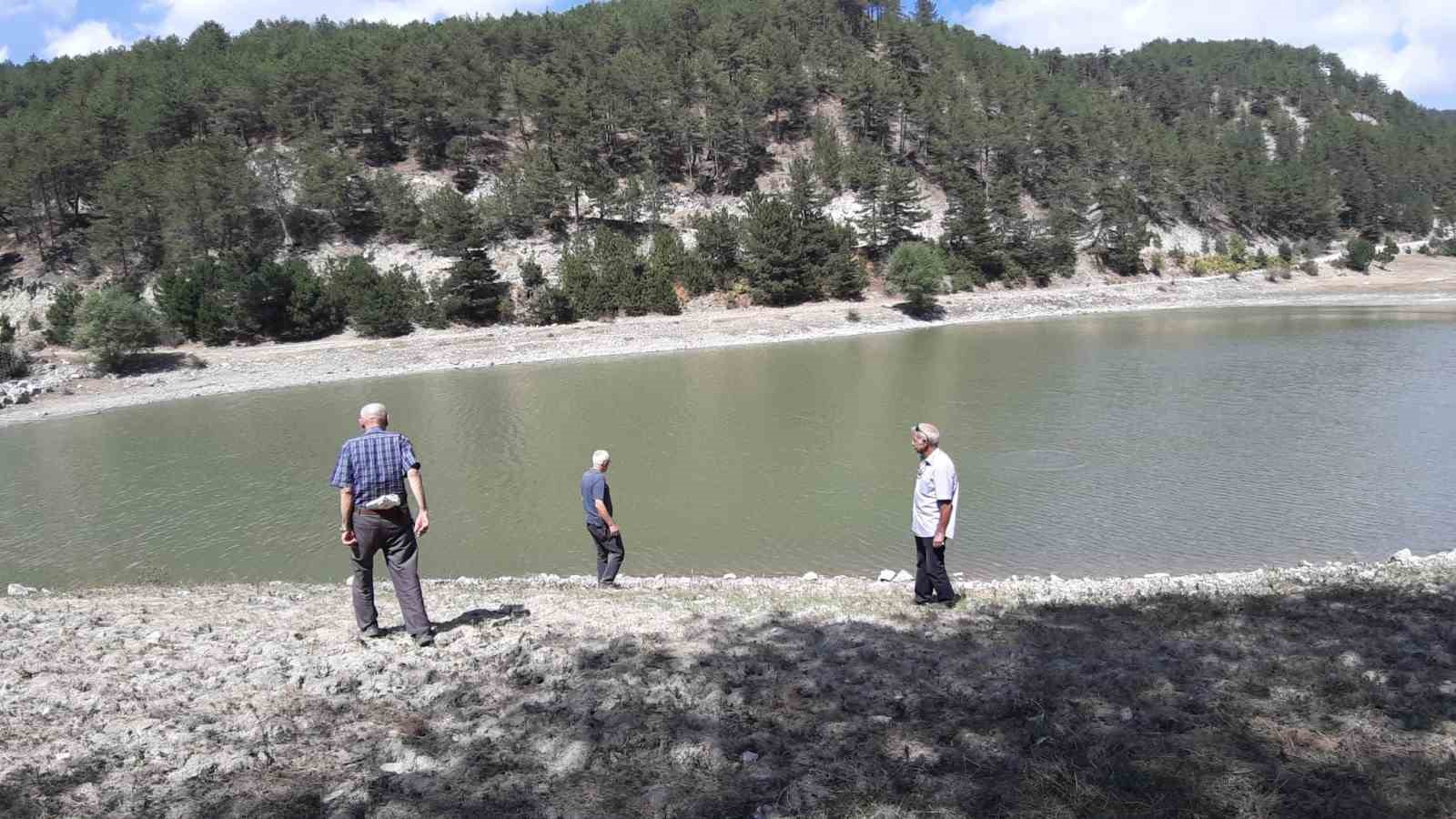Orman yangınında kritik rol oynayan gölet, can çekişiyor
