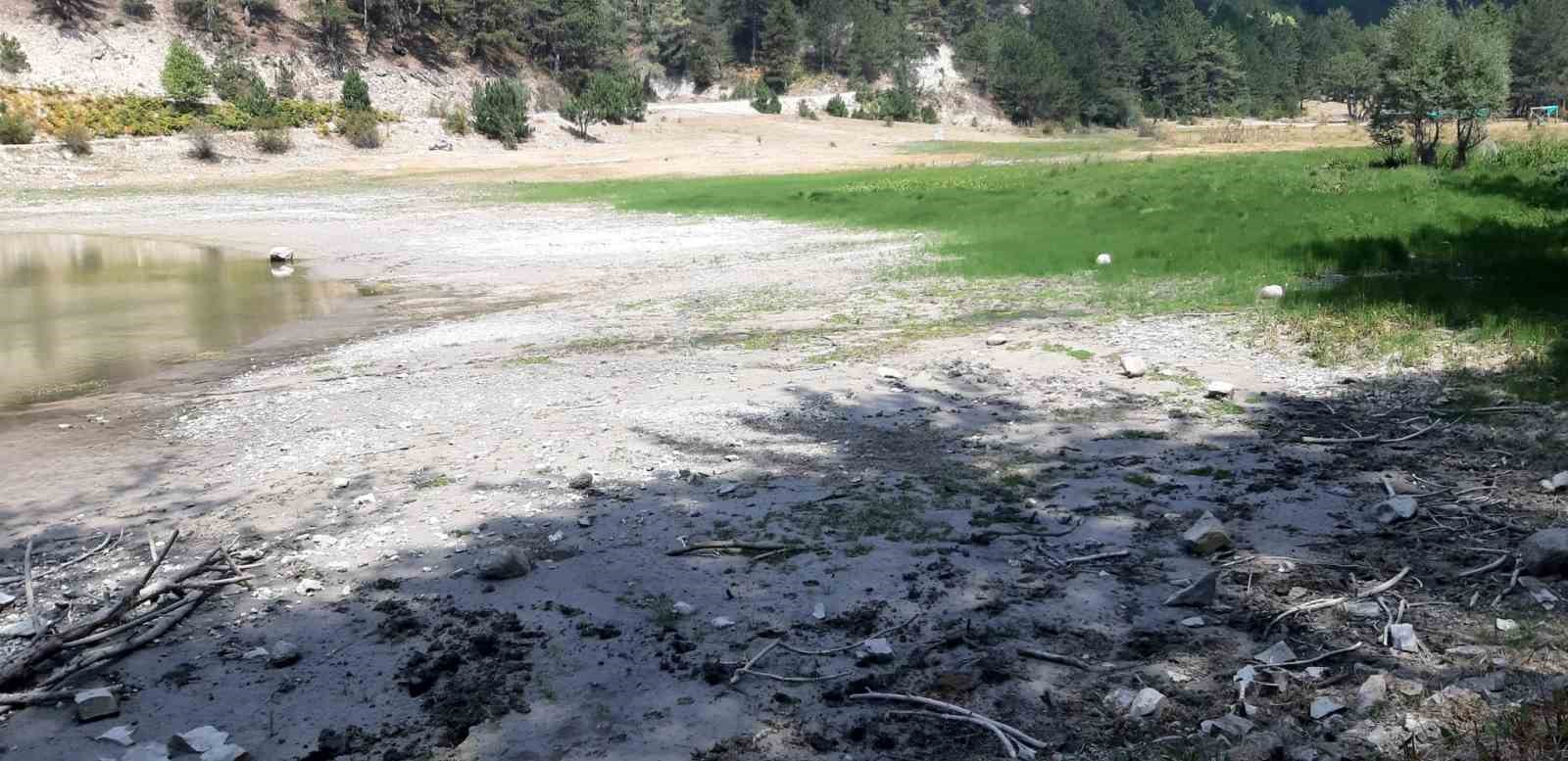Orman yangınında kritik rol oynayan gölet, can çekişiyor
