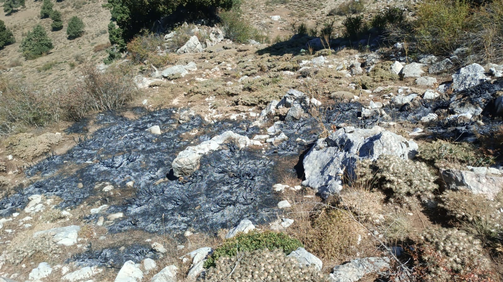 Burdur’da çalılık alanda yangın