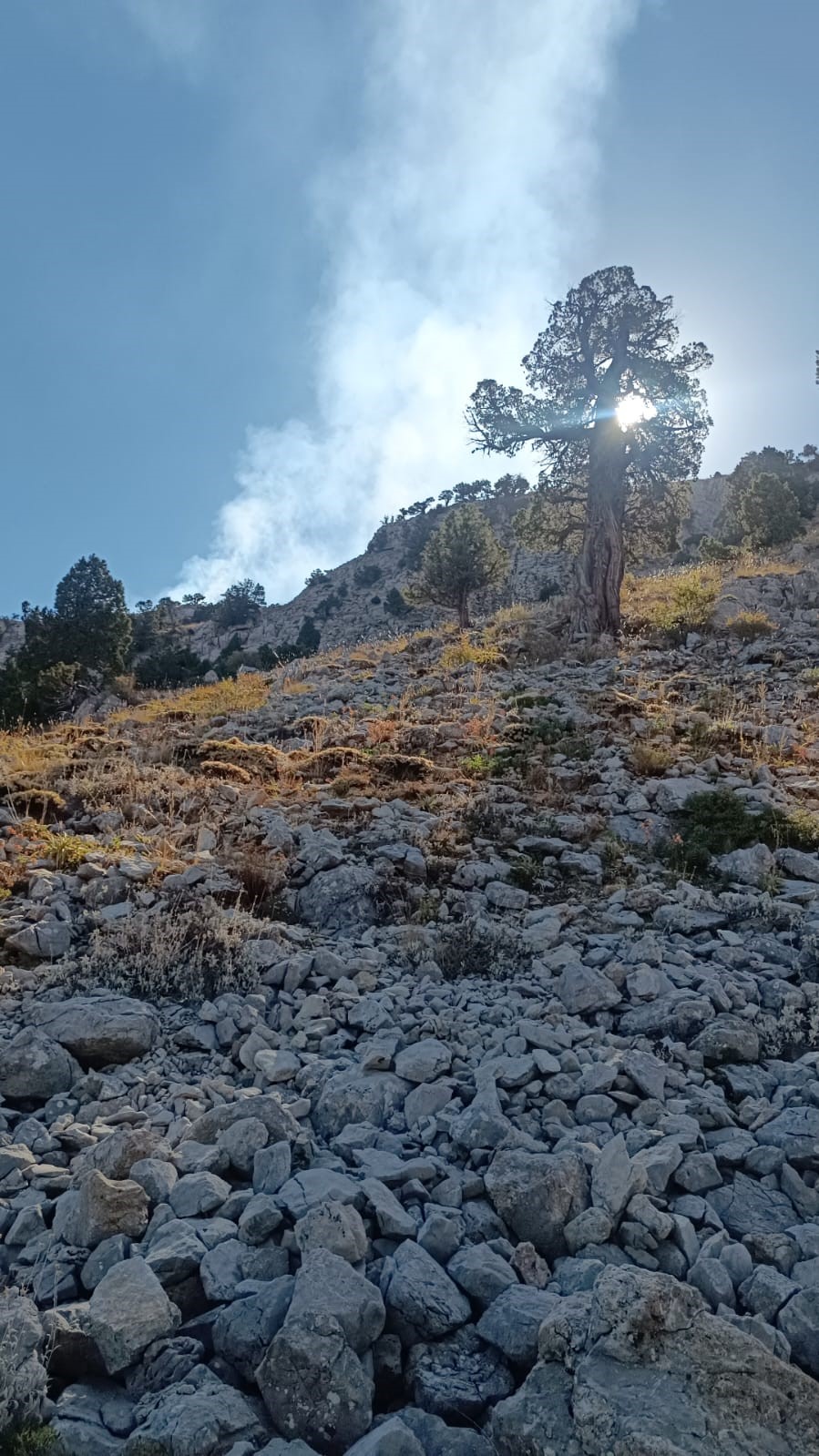 Burdur&rsquo;da &ccedil;alılık alanda yangın
