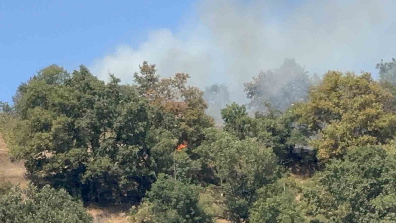 D&uuml;zce&rsquo;de orman yangını
