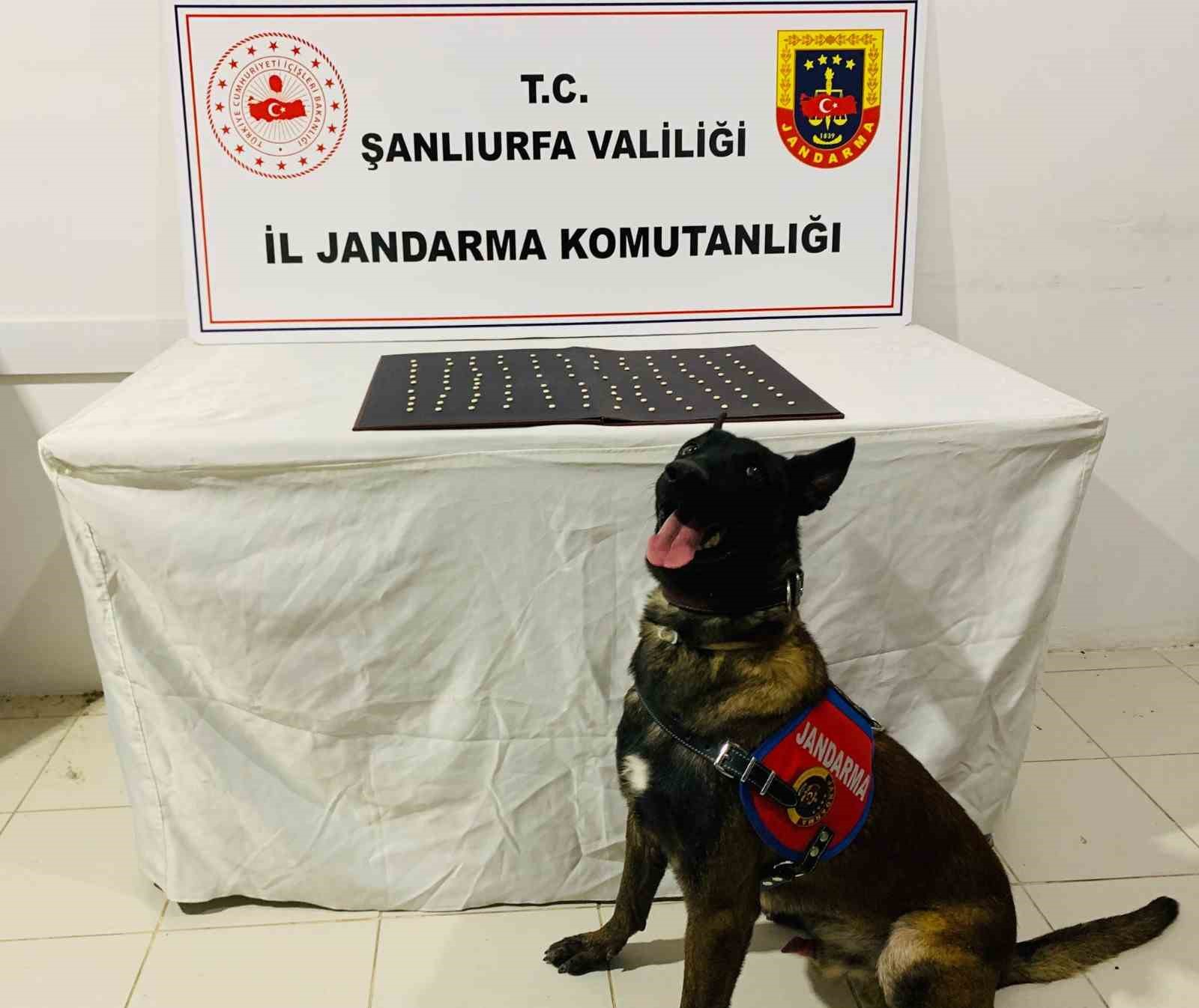 Şanlıurfa’da uyuşturucu operasyonu: 42 gözaltı