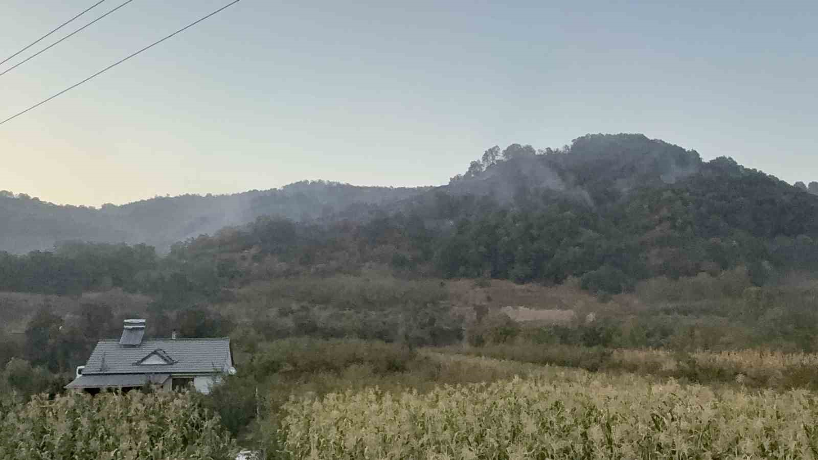 Düzce’deki orman yangını kısmen kontrol altına alındı