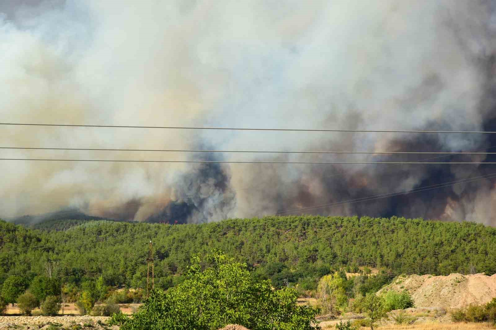 Prof. Dr. K&uuml;&ccedil;&uuml;k: "T&uuml;rkiye, orman yangınlarına m&uuml;dahalede Avrupa&rsquo;da birinci sıradadır"

