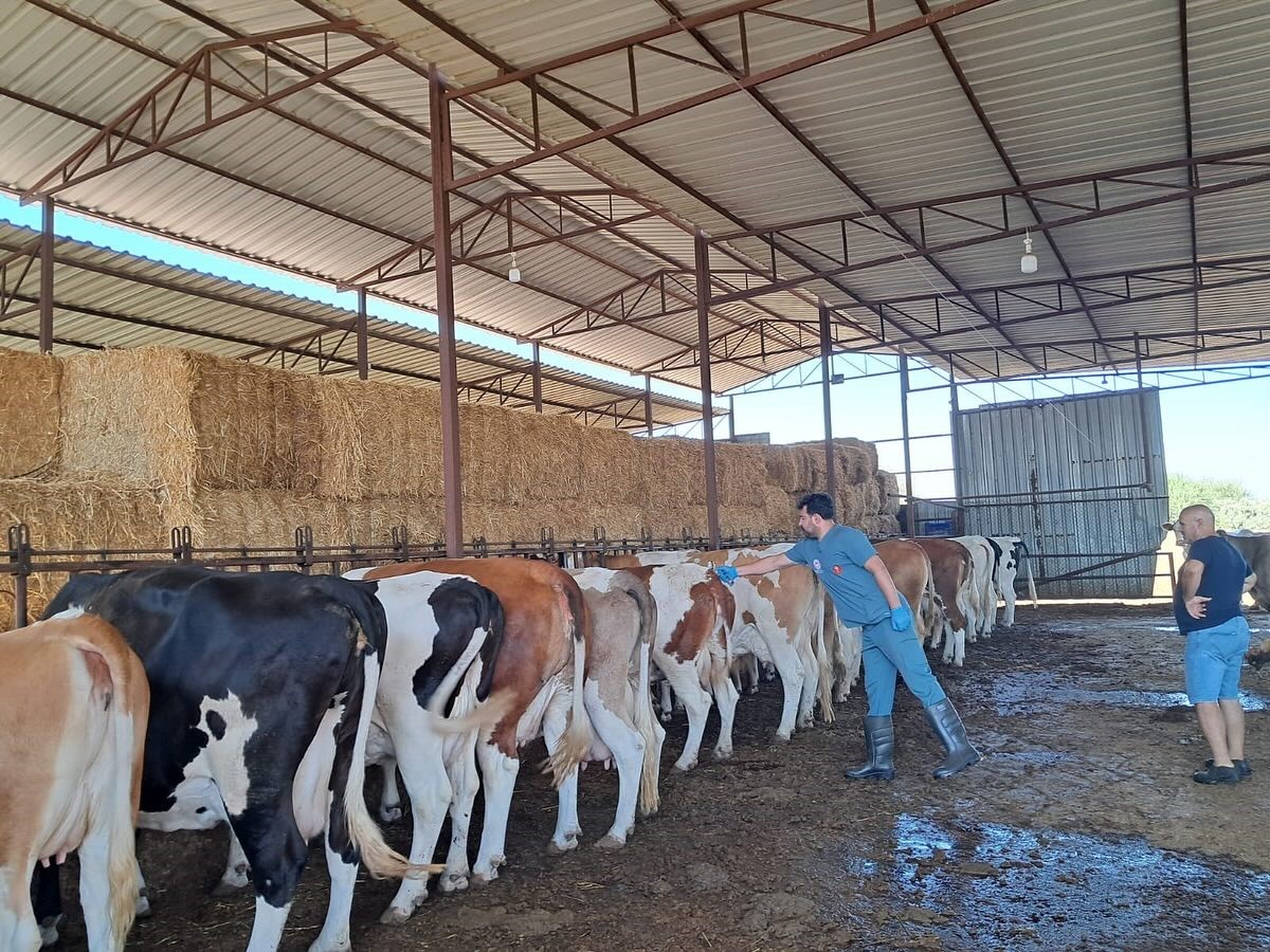 Kuyucak’ın 13 mahallesinde giriş çıkışlar yasaklandı